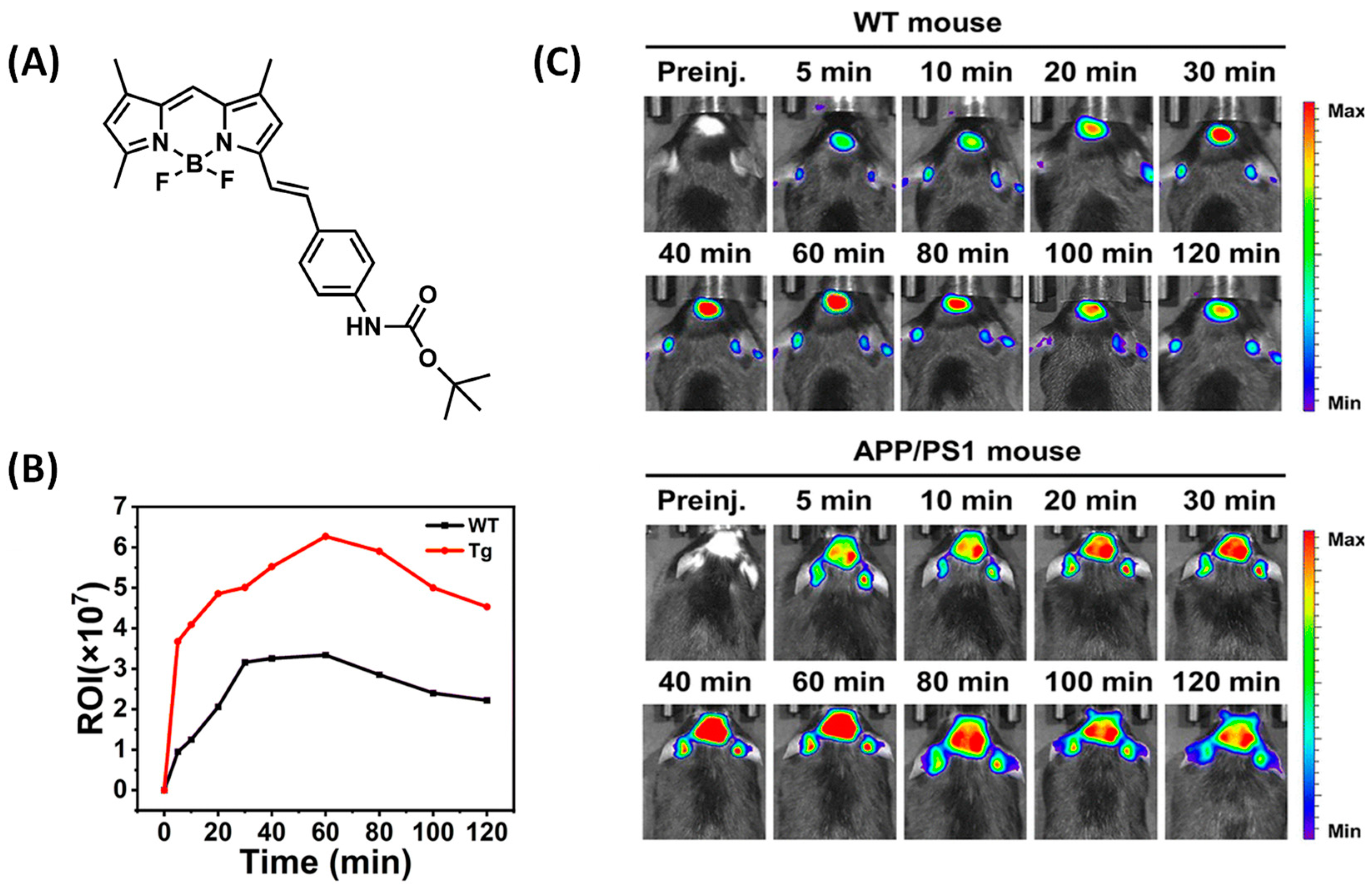 Biosensors 13 00990 g008
