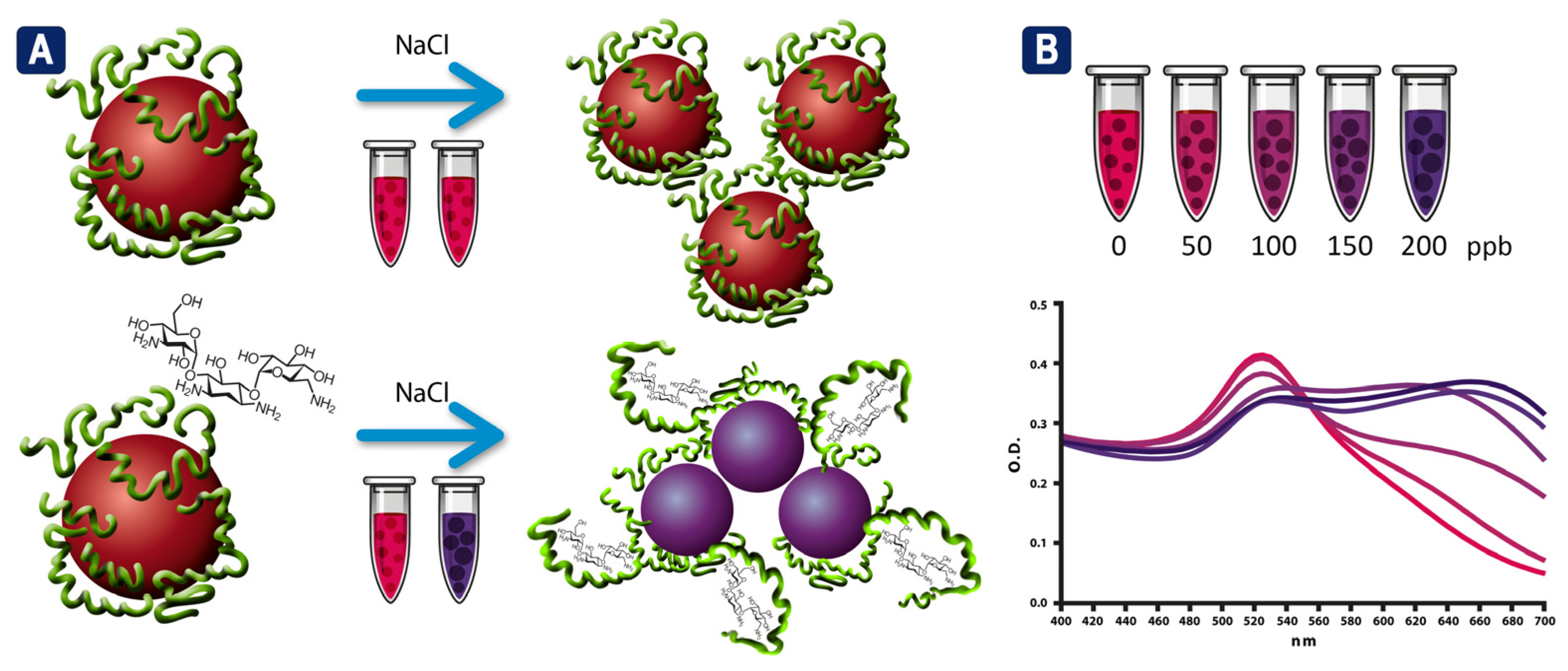 Biosensors 13 00992 g006