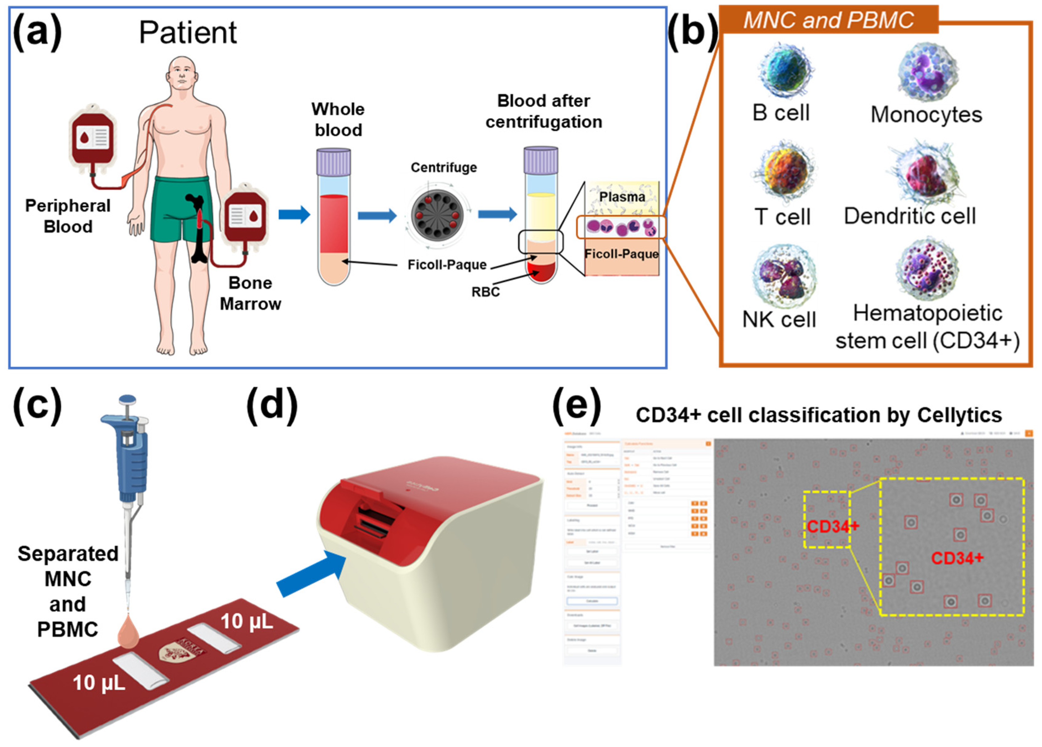 Biosensors 13 00993 g001 Biosensors 13 00993 g001