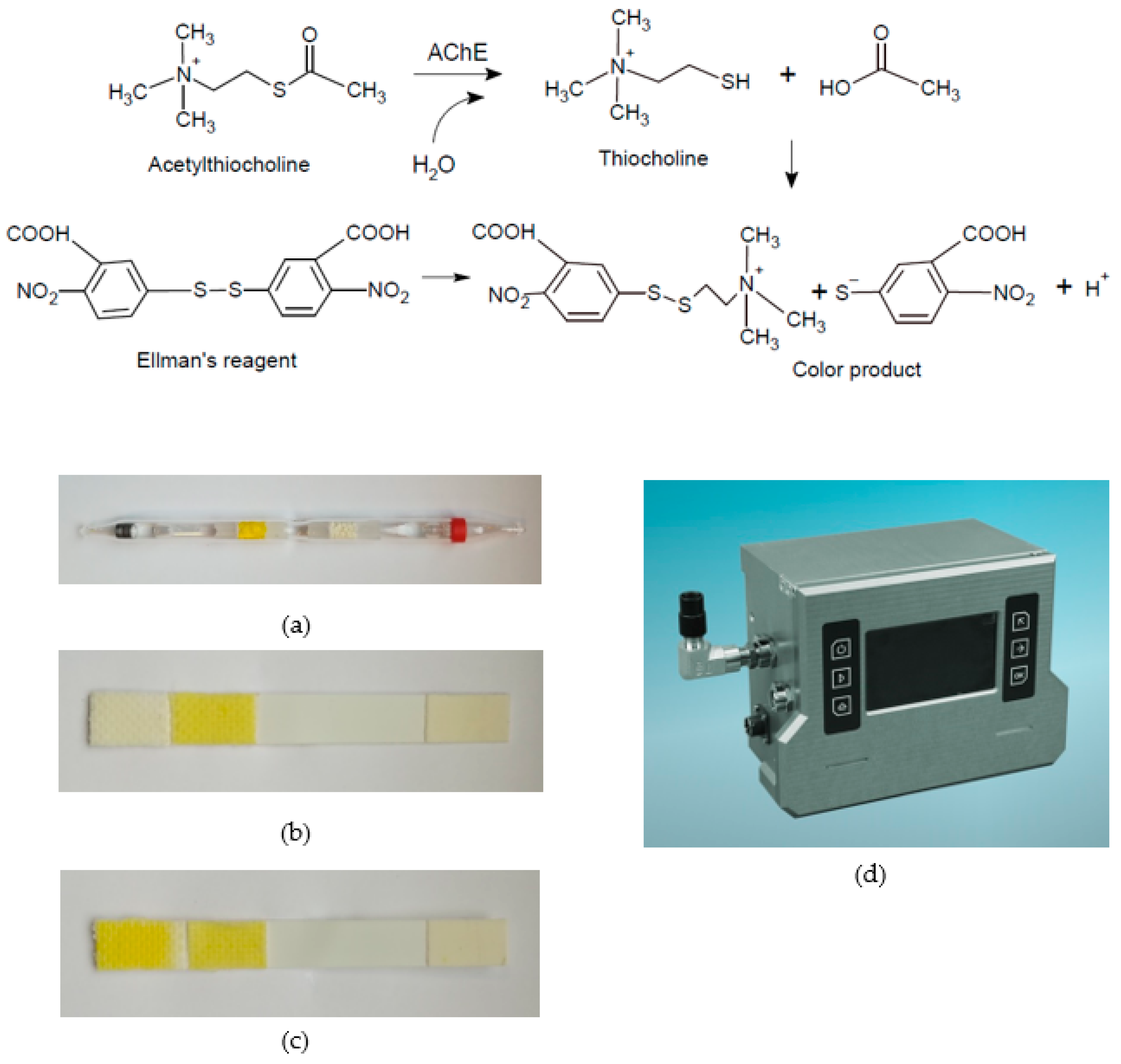 Biosensors 13 00995 g003