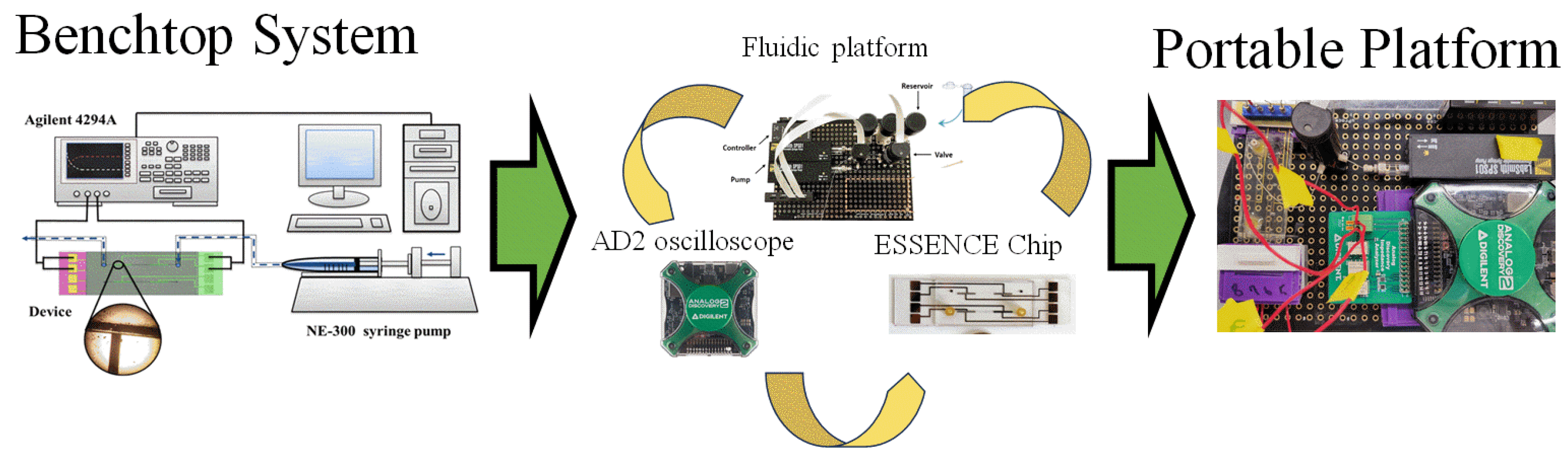 Biosensors 13 00999 g001