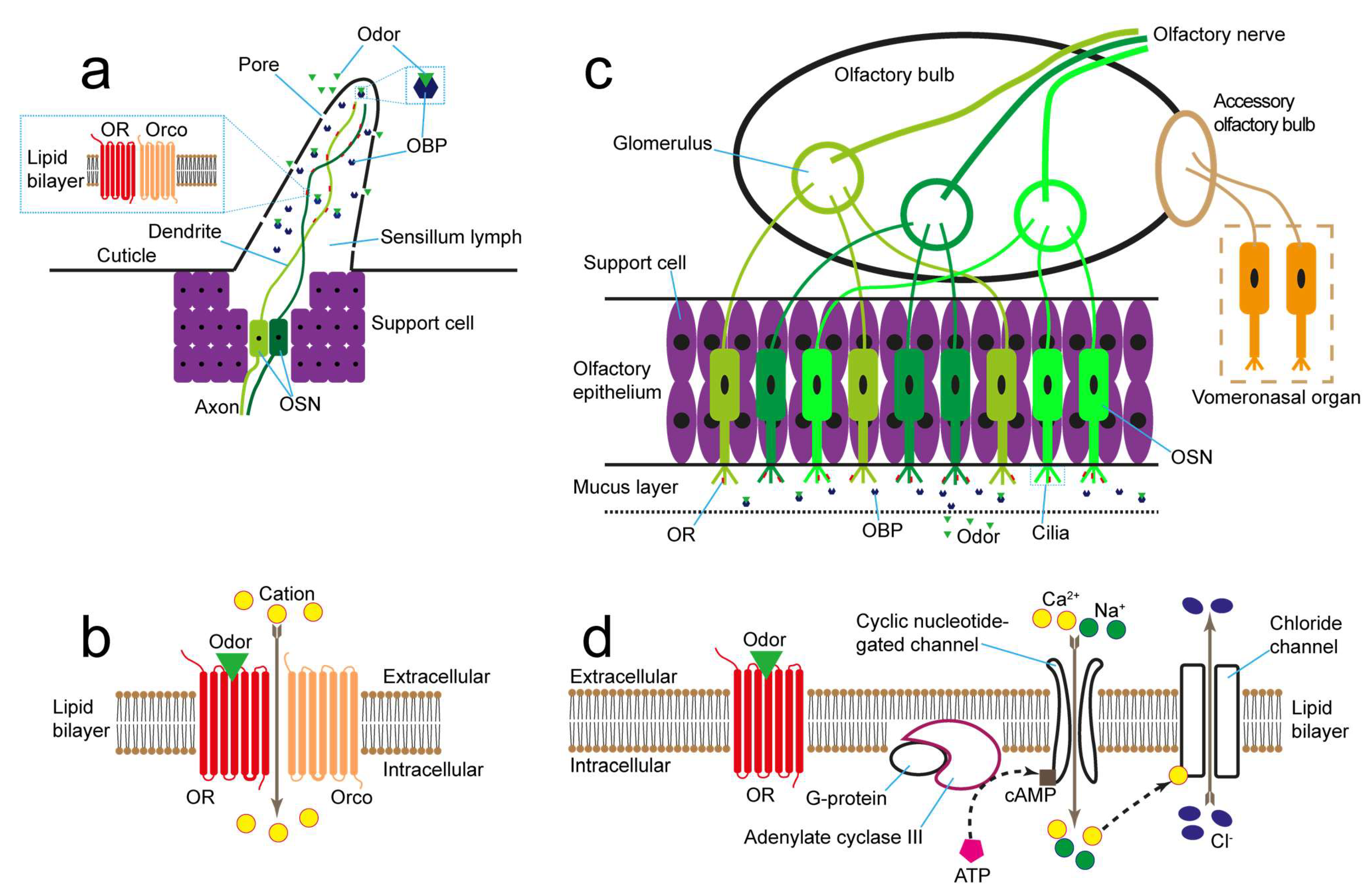 Biosensors 13 01000 g002