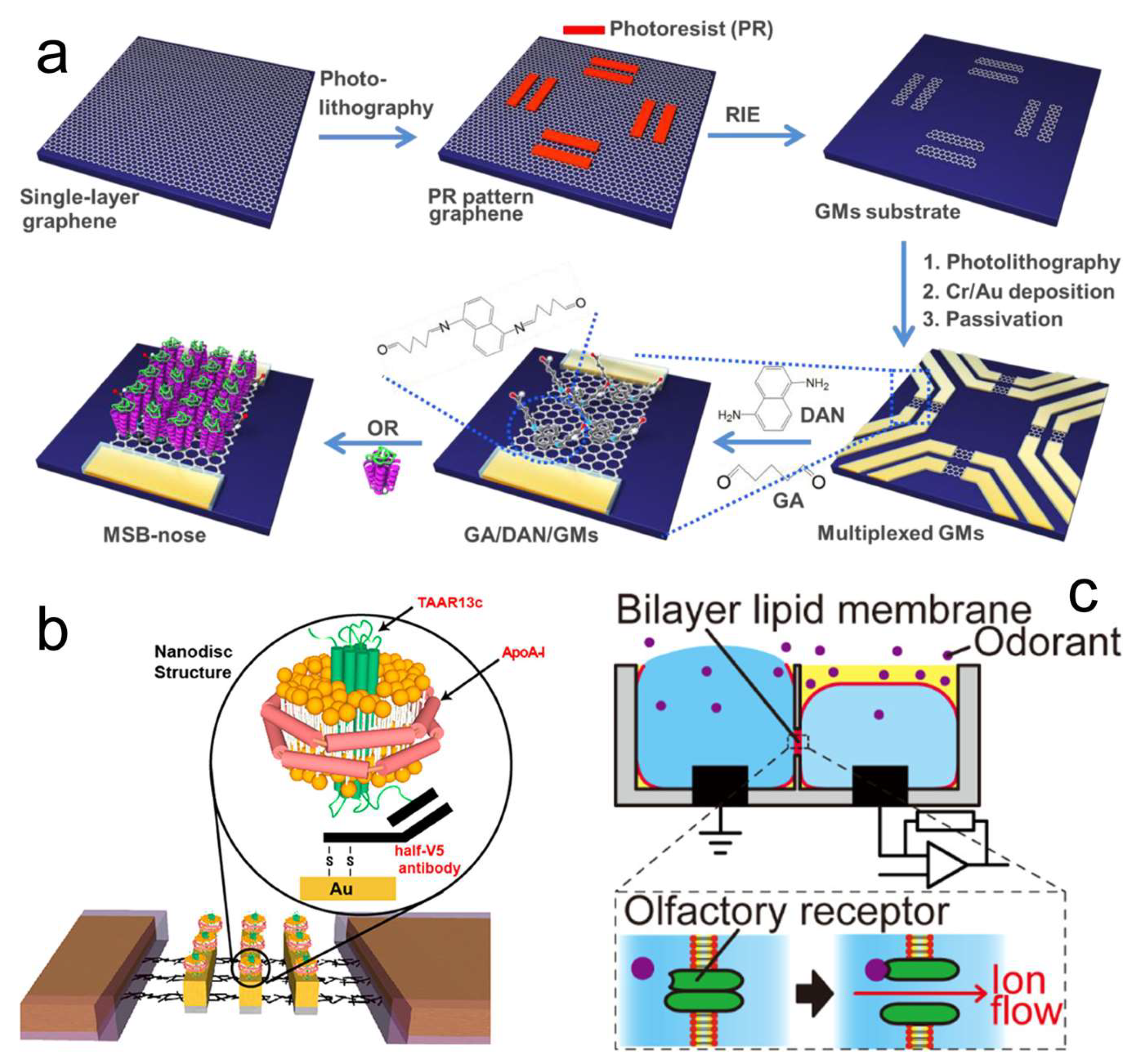 Biosensors 13 01000 g009