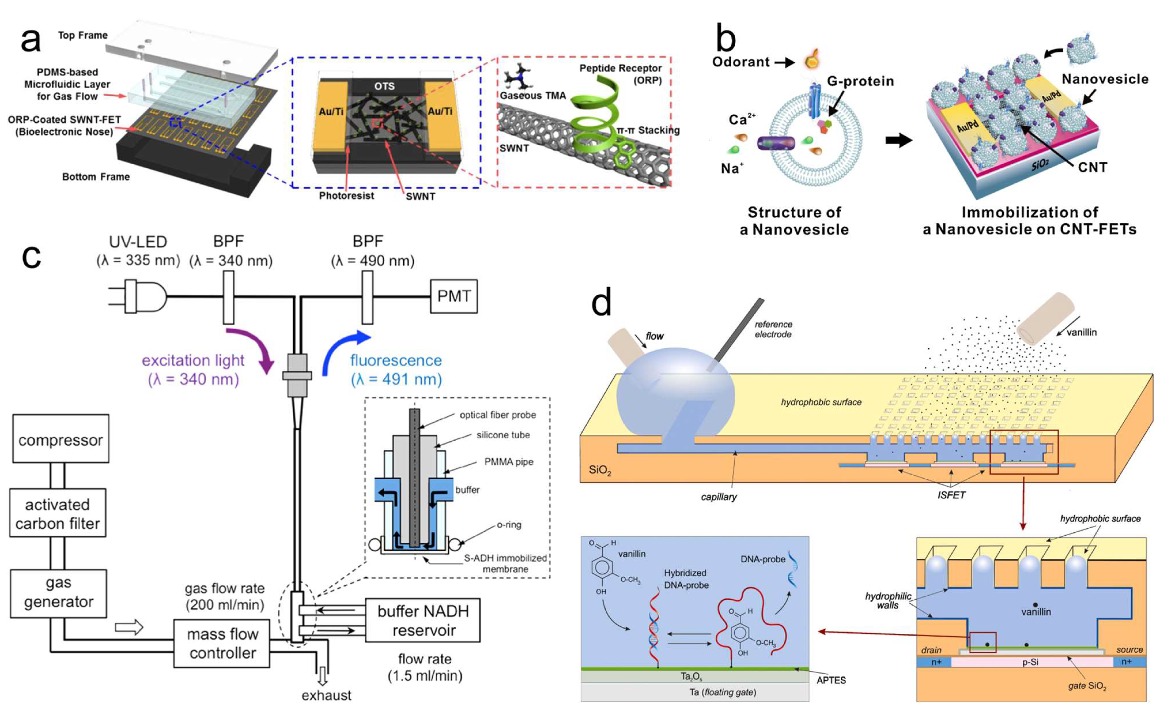 Biosensors 13 01000 g012