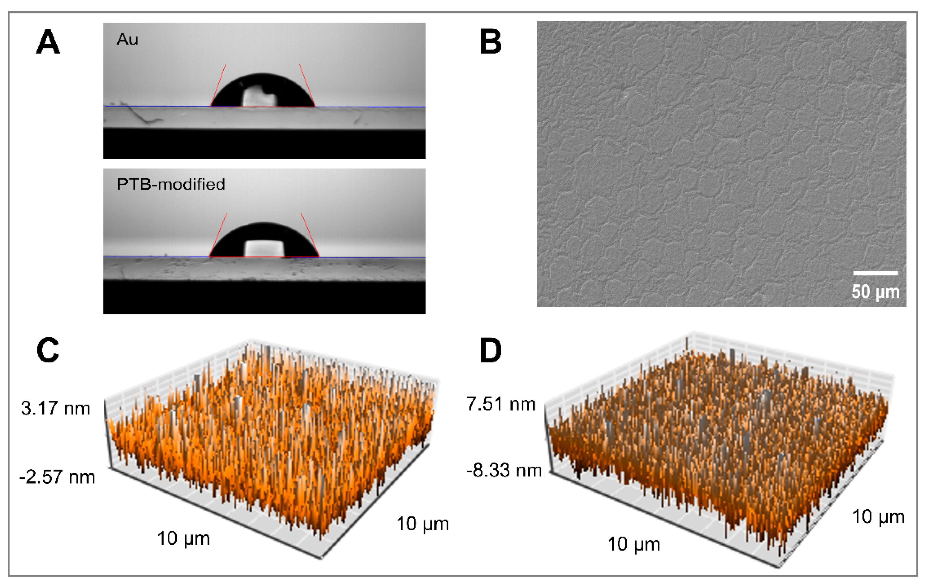 Biosensors 13 01004 g001