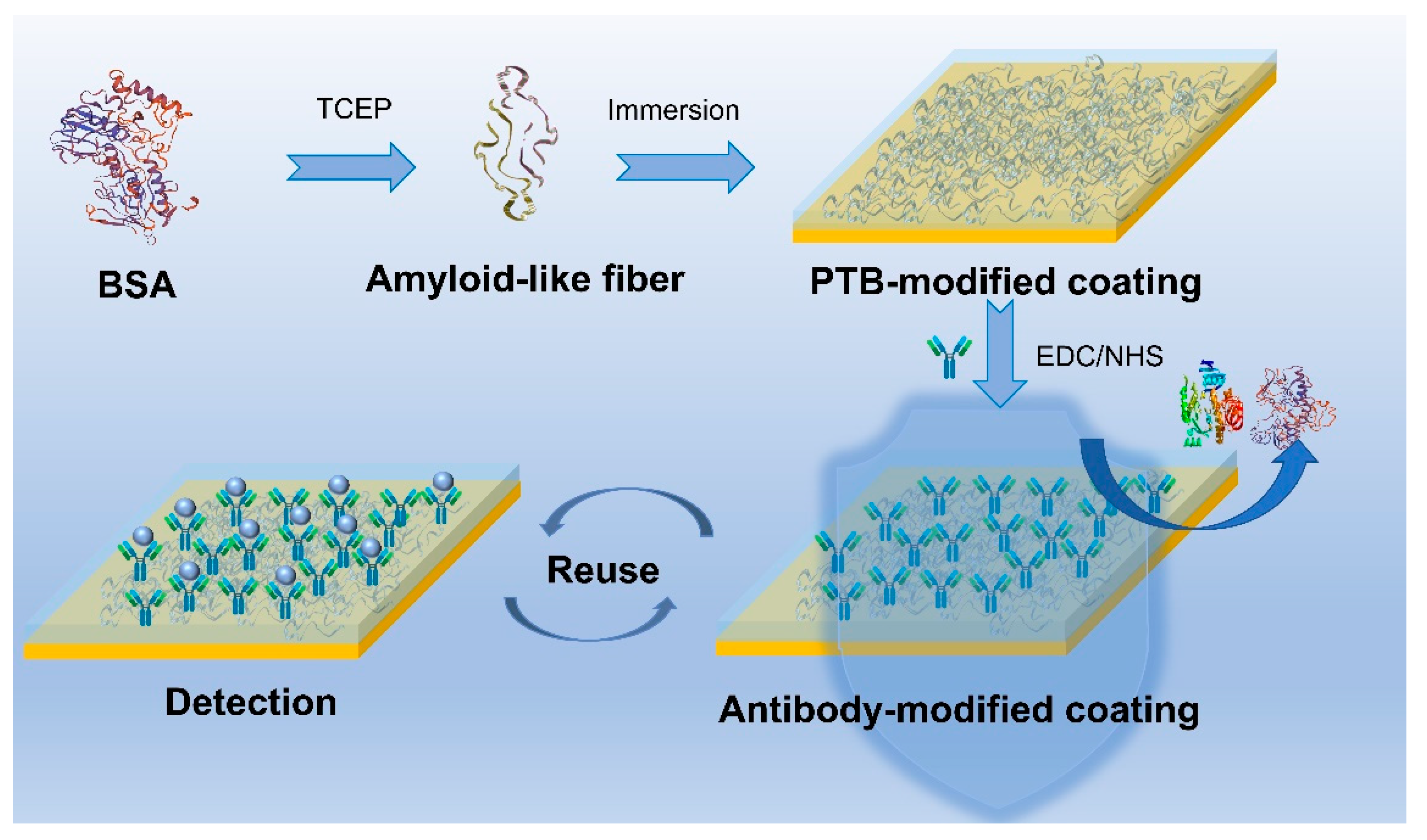 Biosensors 13 01004 sch001