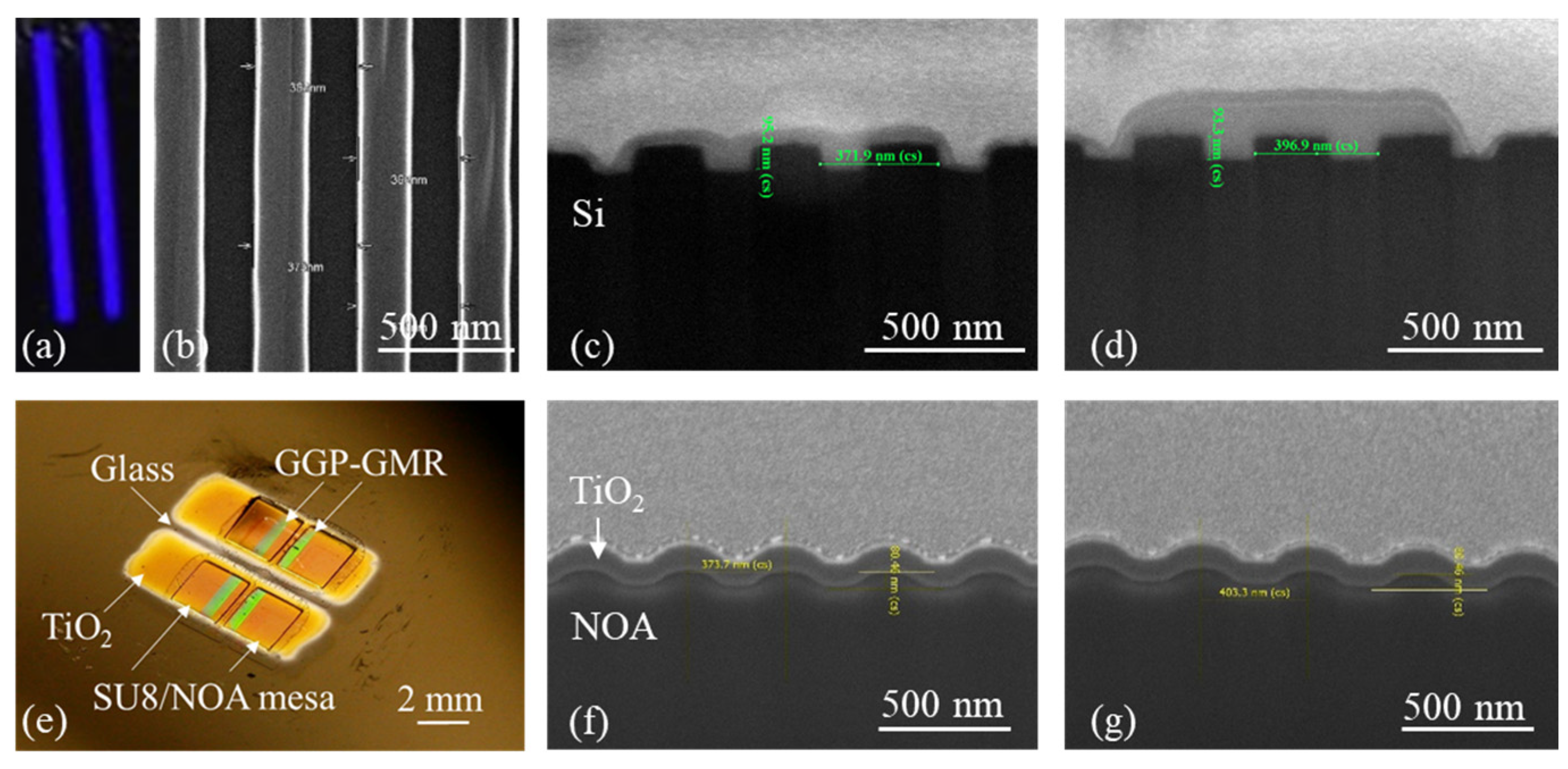 Biosensors 13 01006 g002
