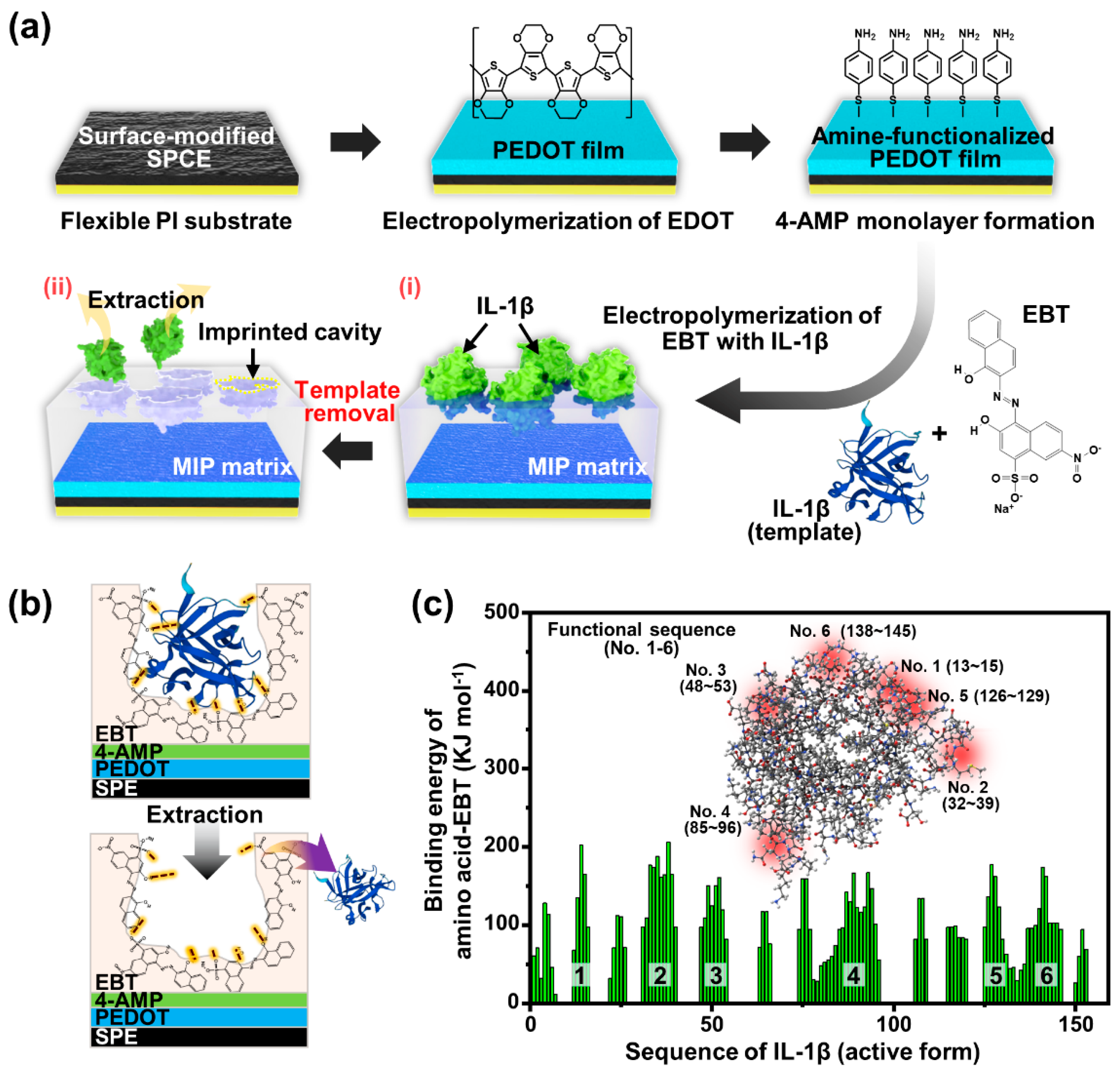 Biosensors 13 01013 g002