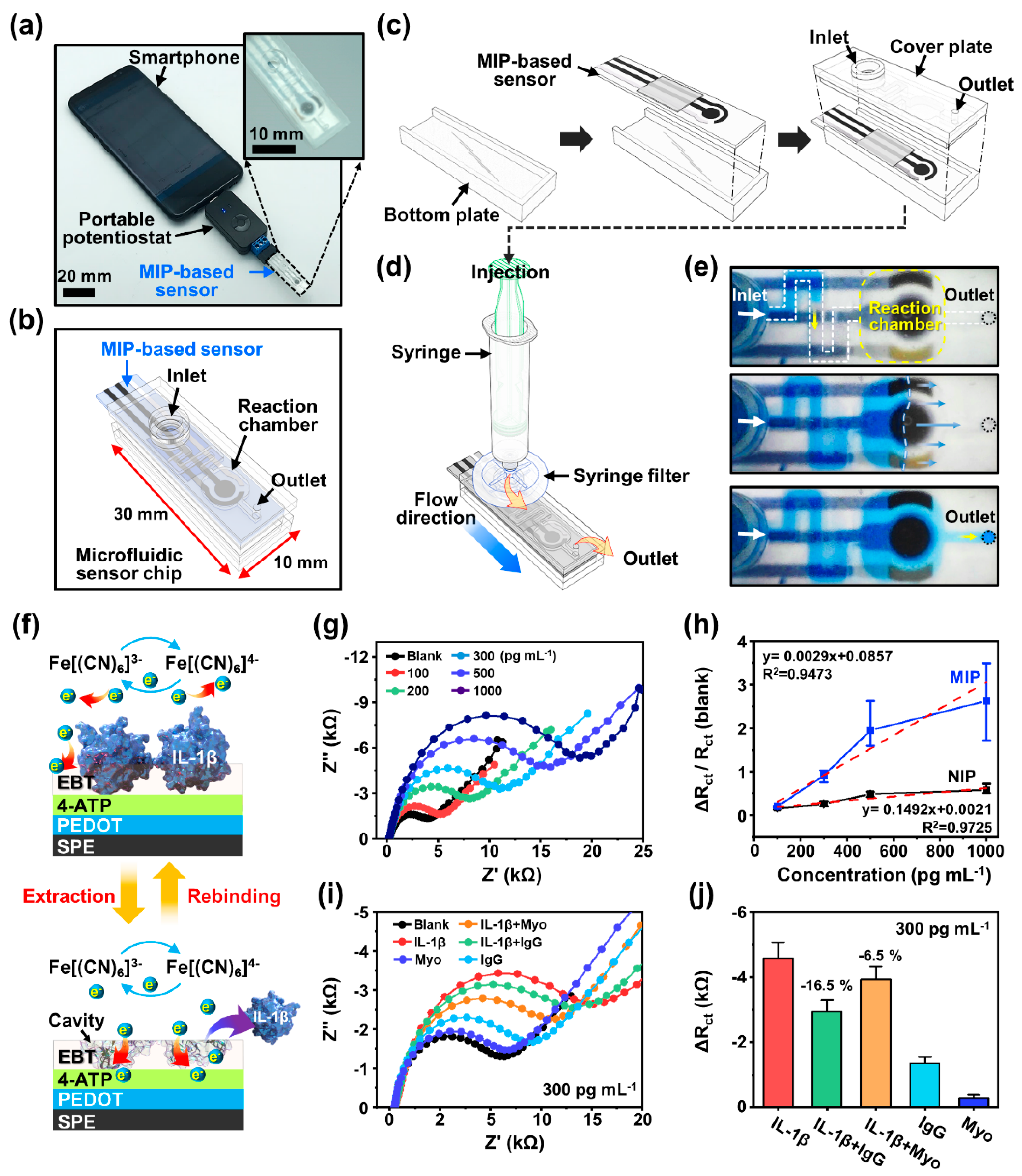 Biosensors 13 01013 g004