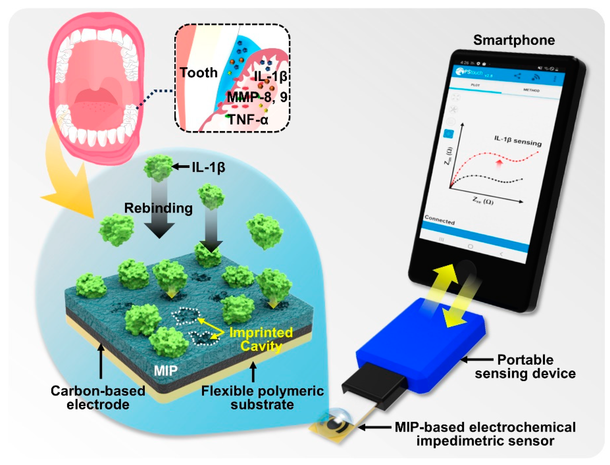 Biosensors Free FullText Mobile PointofCare Device Using