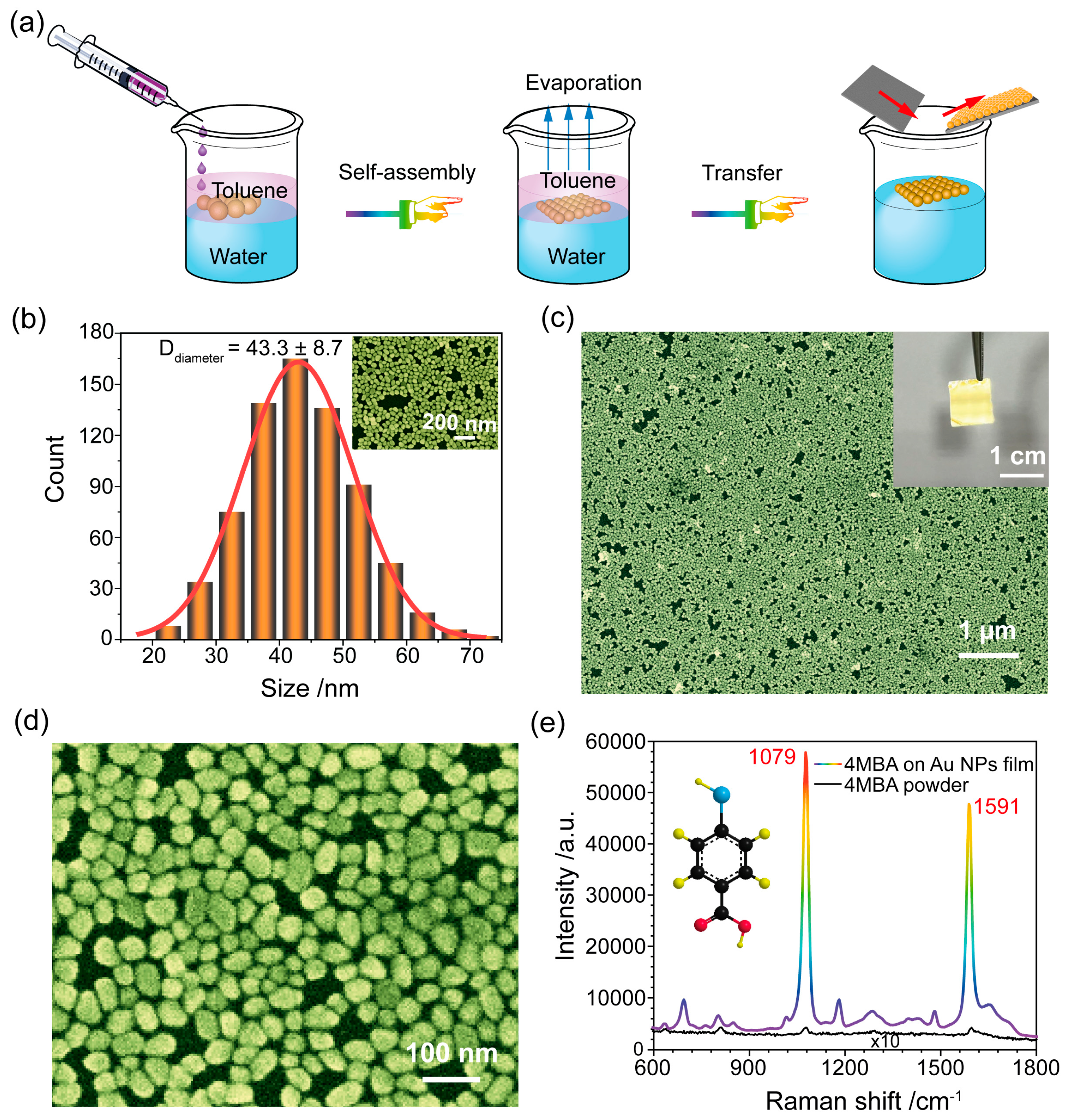 Biosensors 13 01014 g001