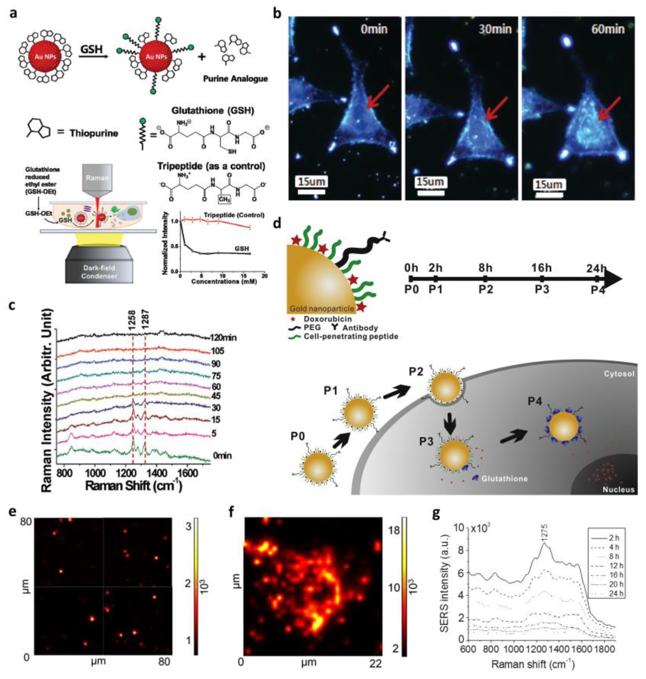 Biosensors 13 01017 g003