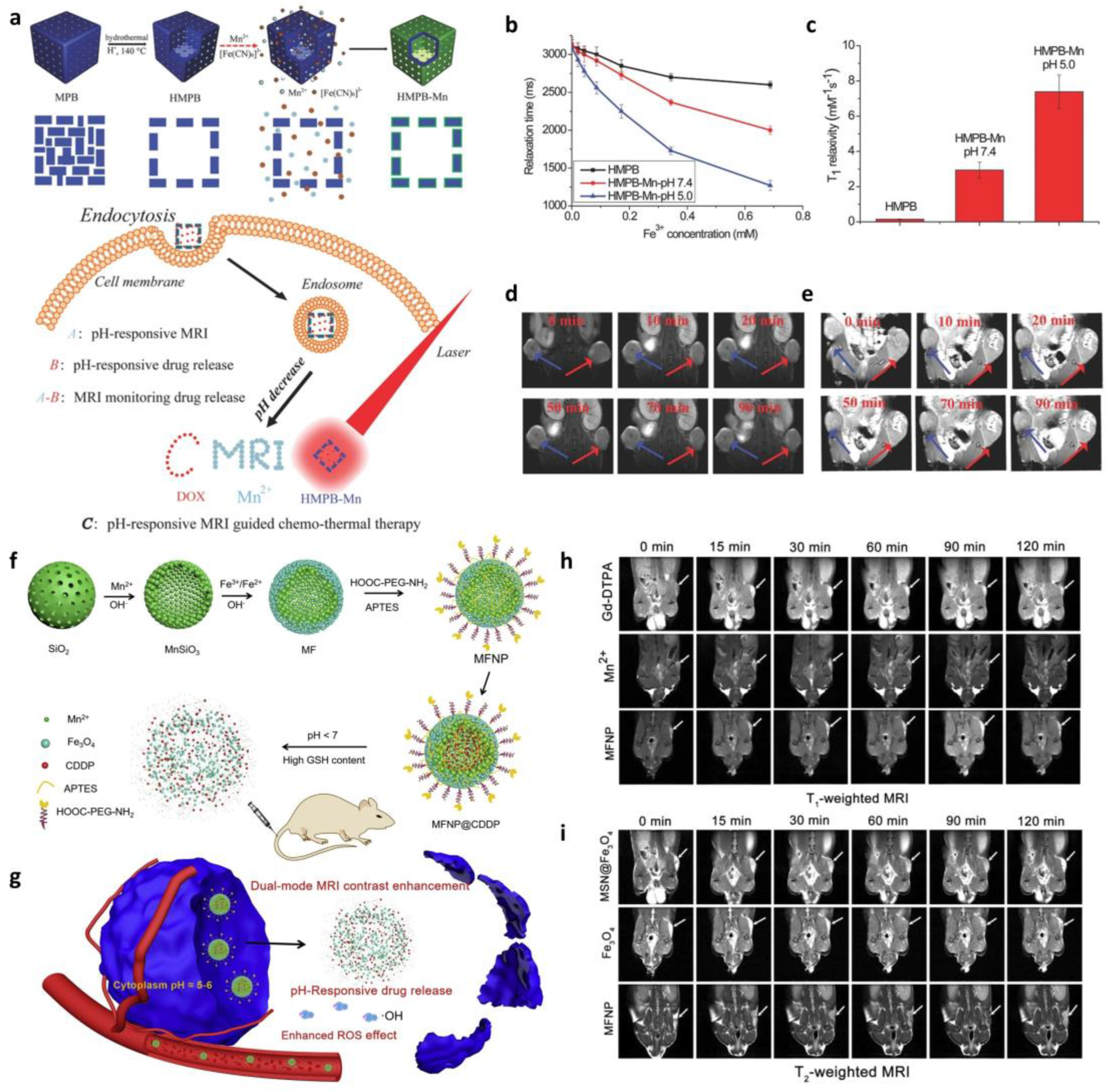 Biosensors 13 01017 g004