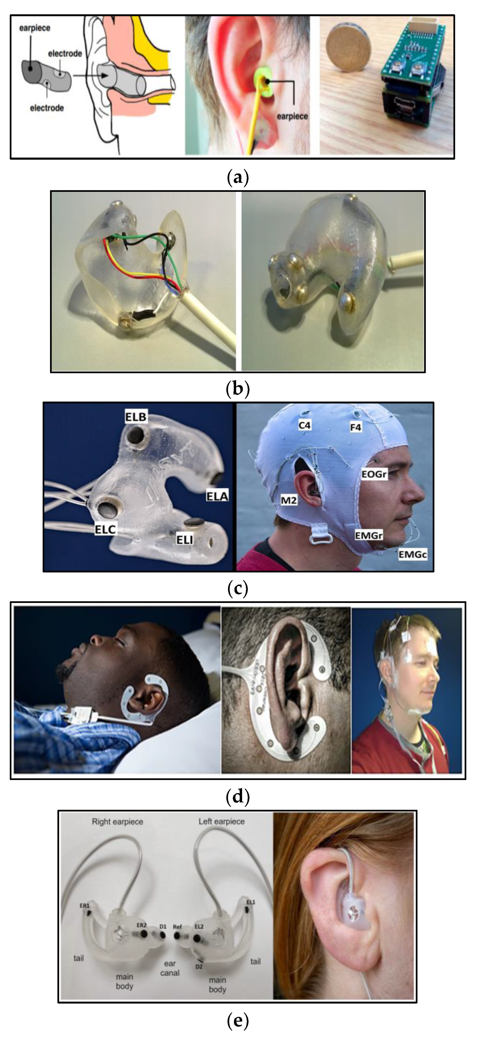 Biosensors 13 01019 g005