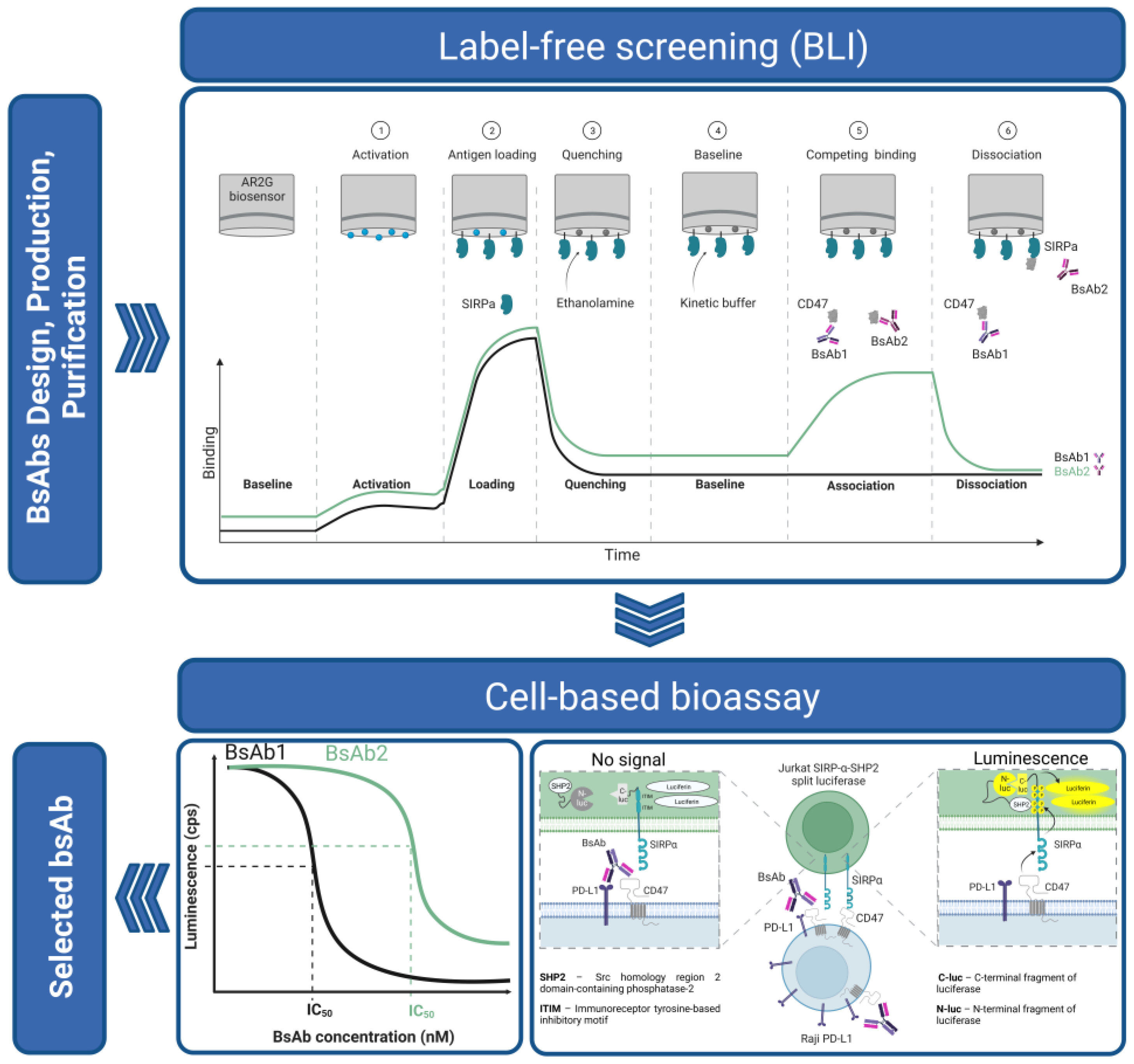 Biosensors 13 01022 sch001