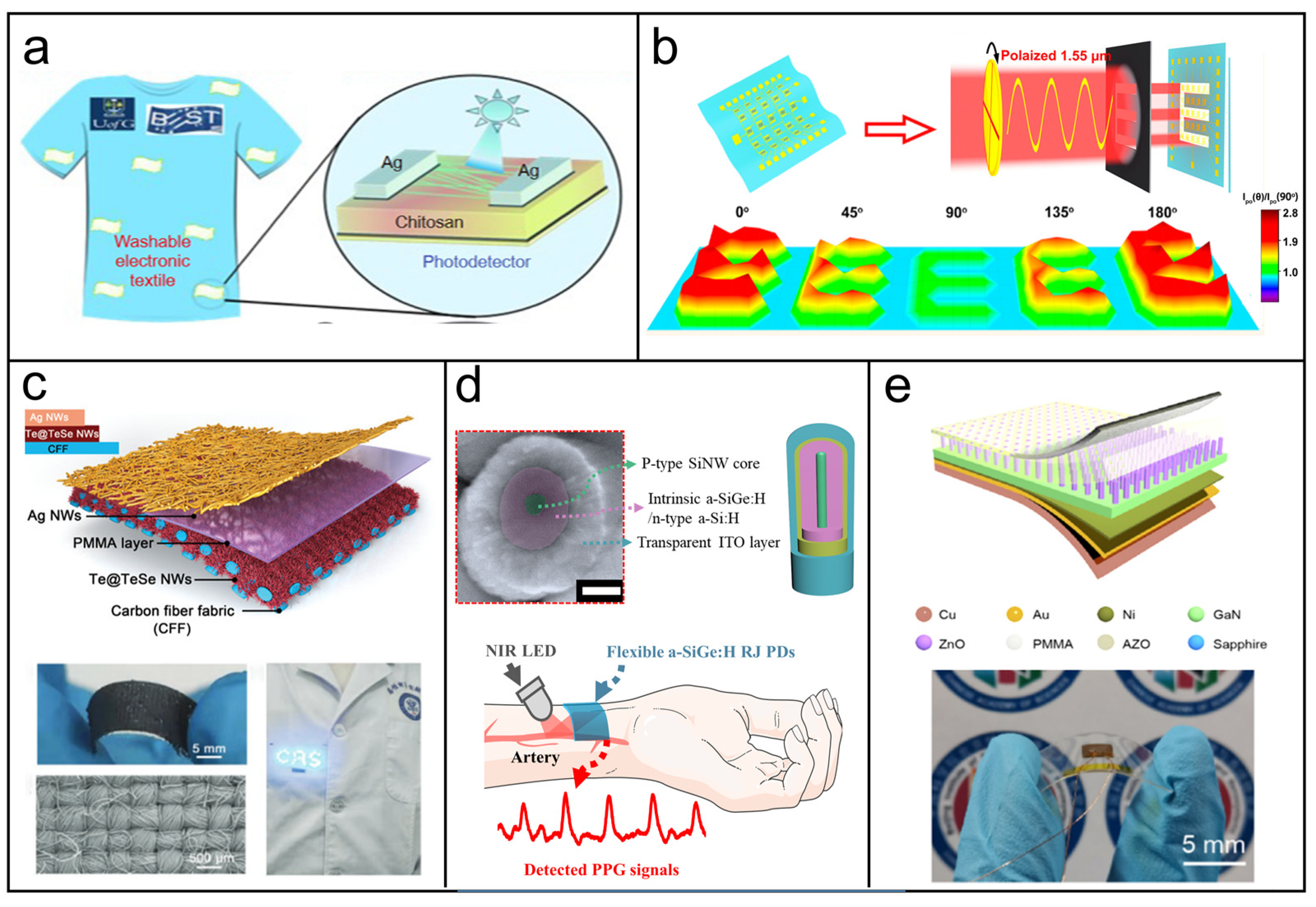 Biosensors 13 01025 g004