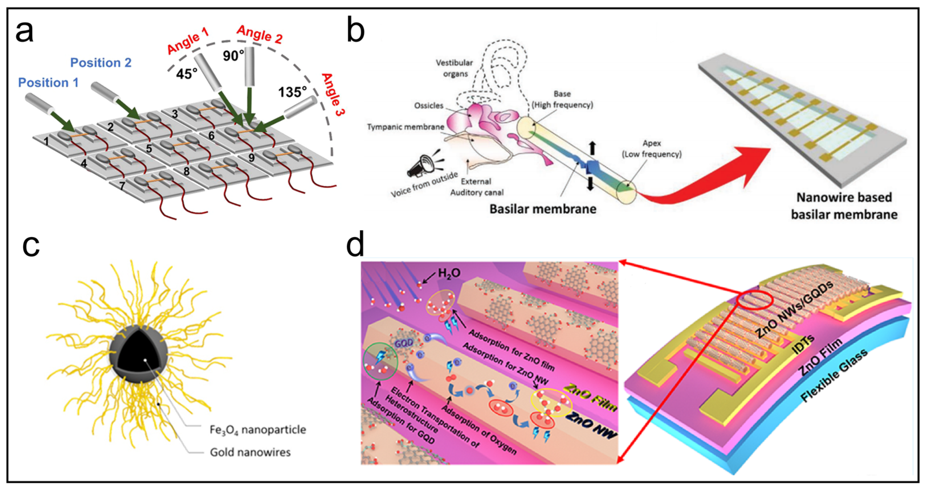 Biosensors 13 01025 g006