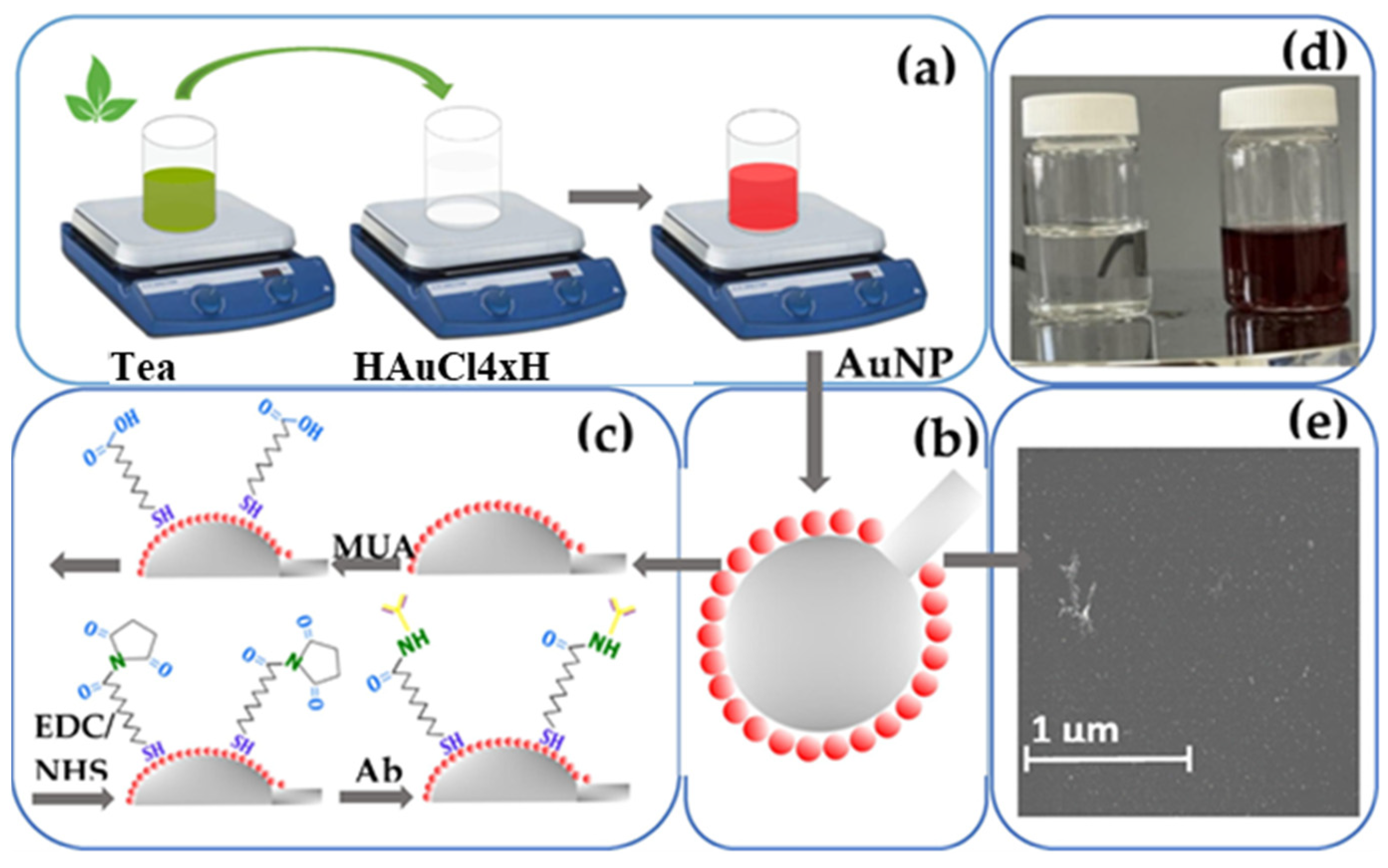 Low-Cost Plant-Based Metal and Metal Oxide Nanoparticle