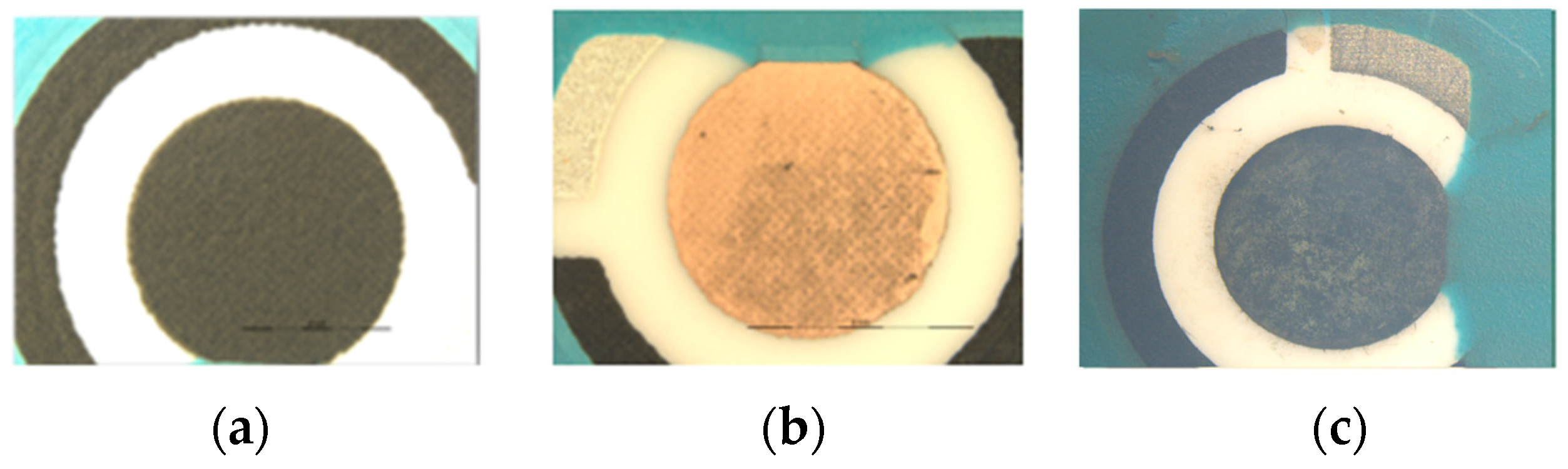 Biosensors 13 01032 g001 Biosensors 13 01032 g001