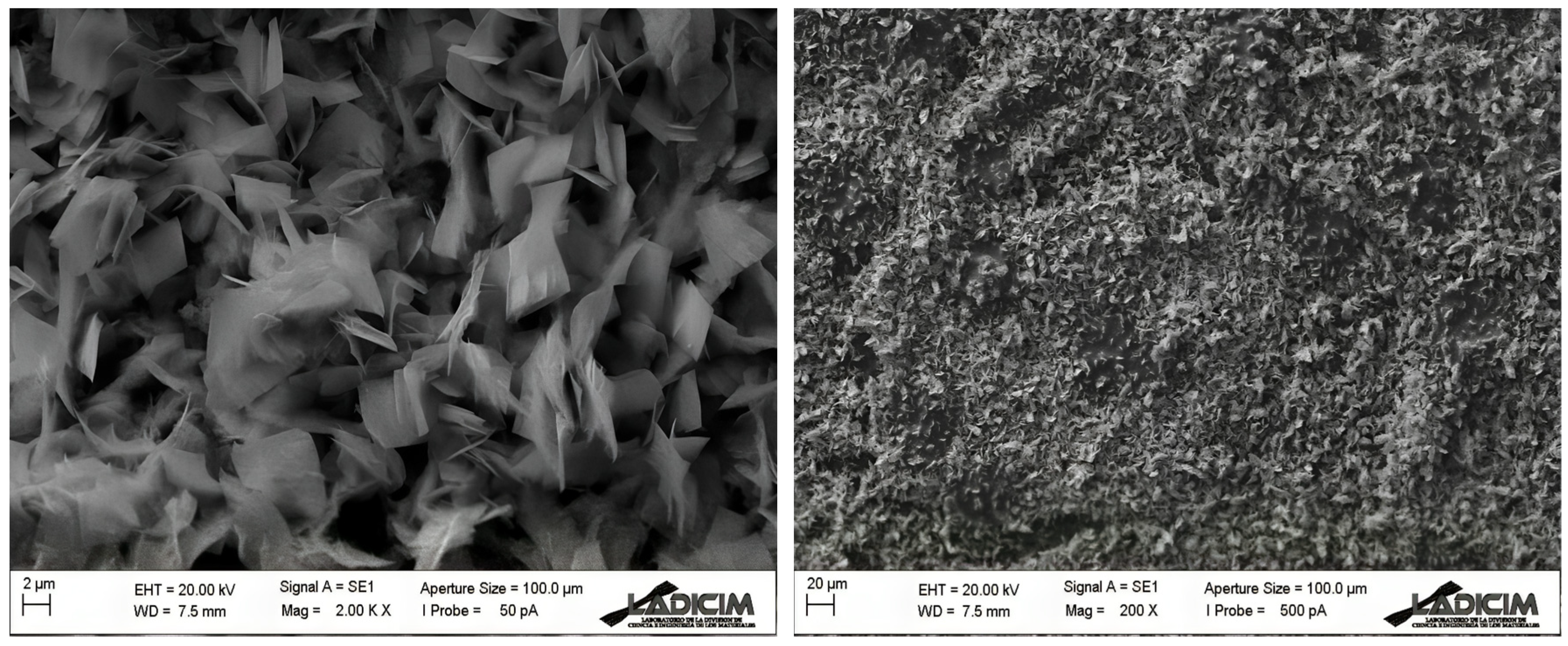Biosensors 13 01032 g003 Biosensors 13 01032 g003