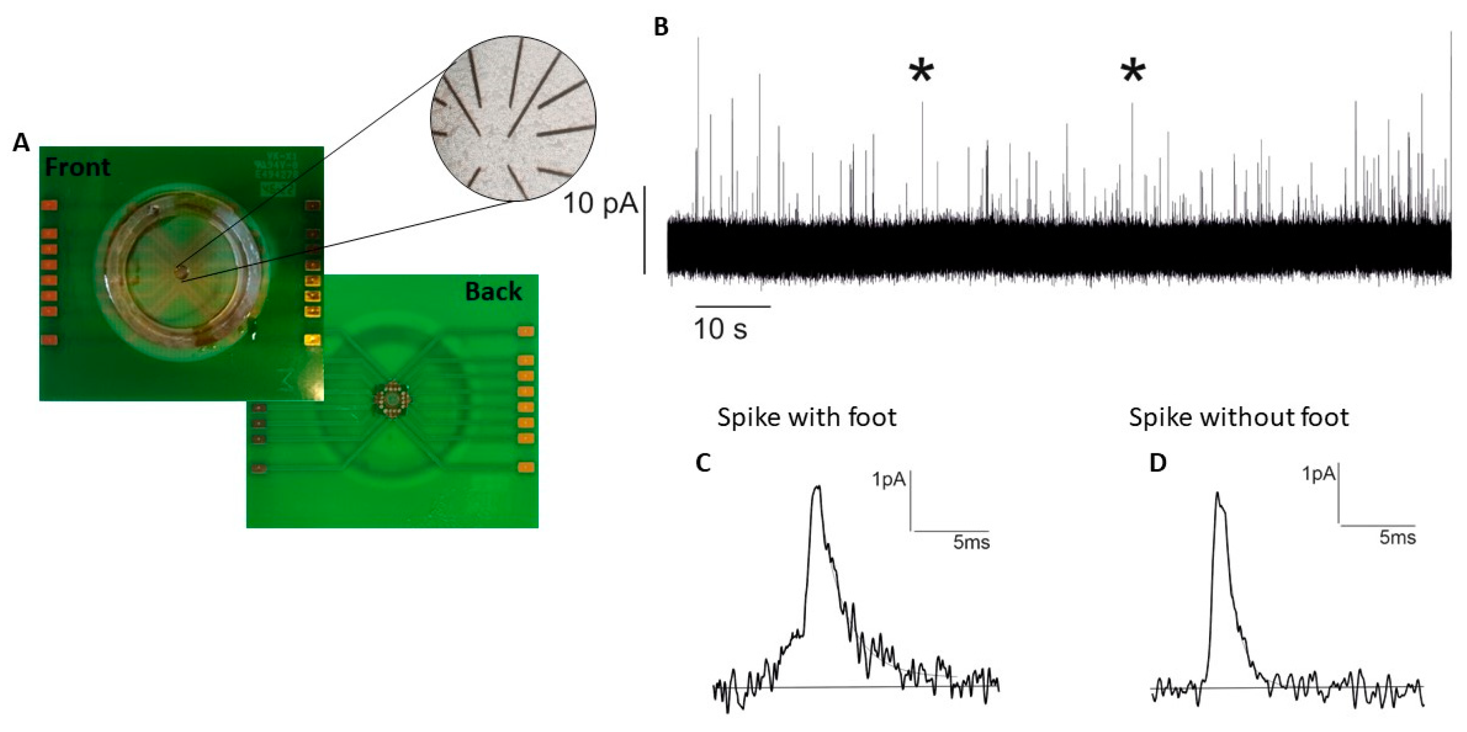 Biosensors 13 01033 g004