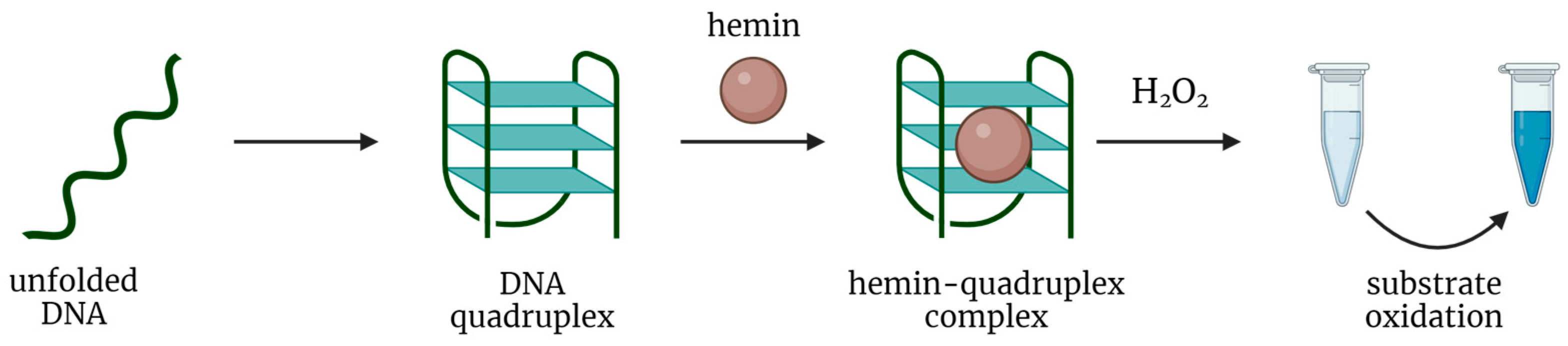 Biosensors 14 00001 g001