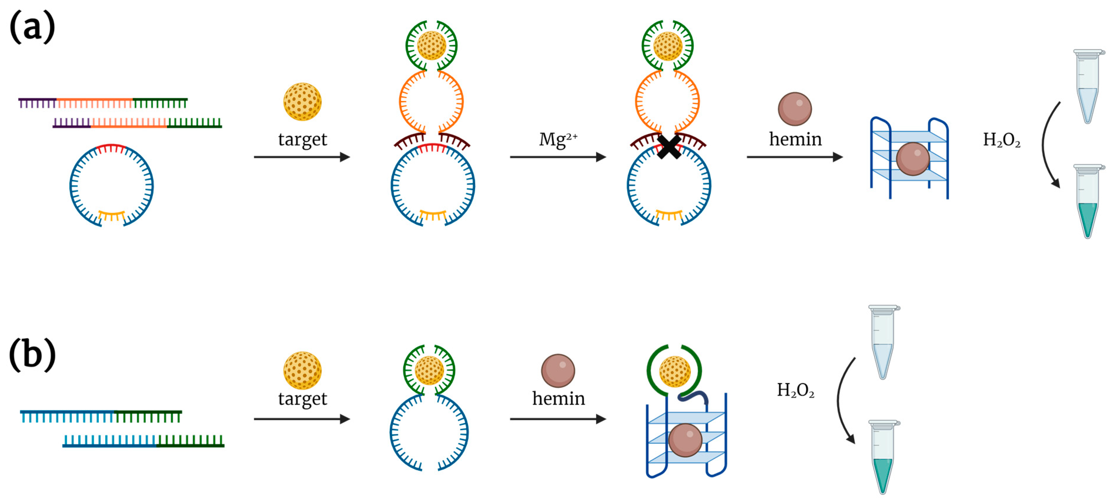 Biosensors 14 00001 g002