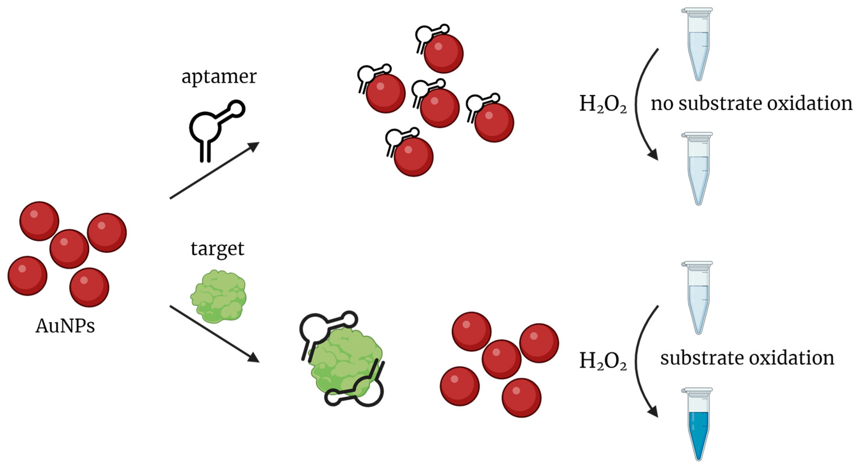 Biosensors 14 00001 g005
