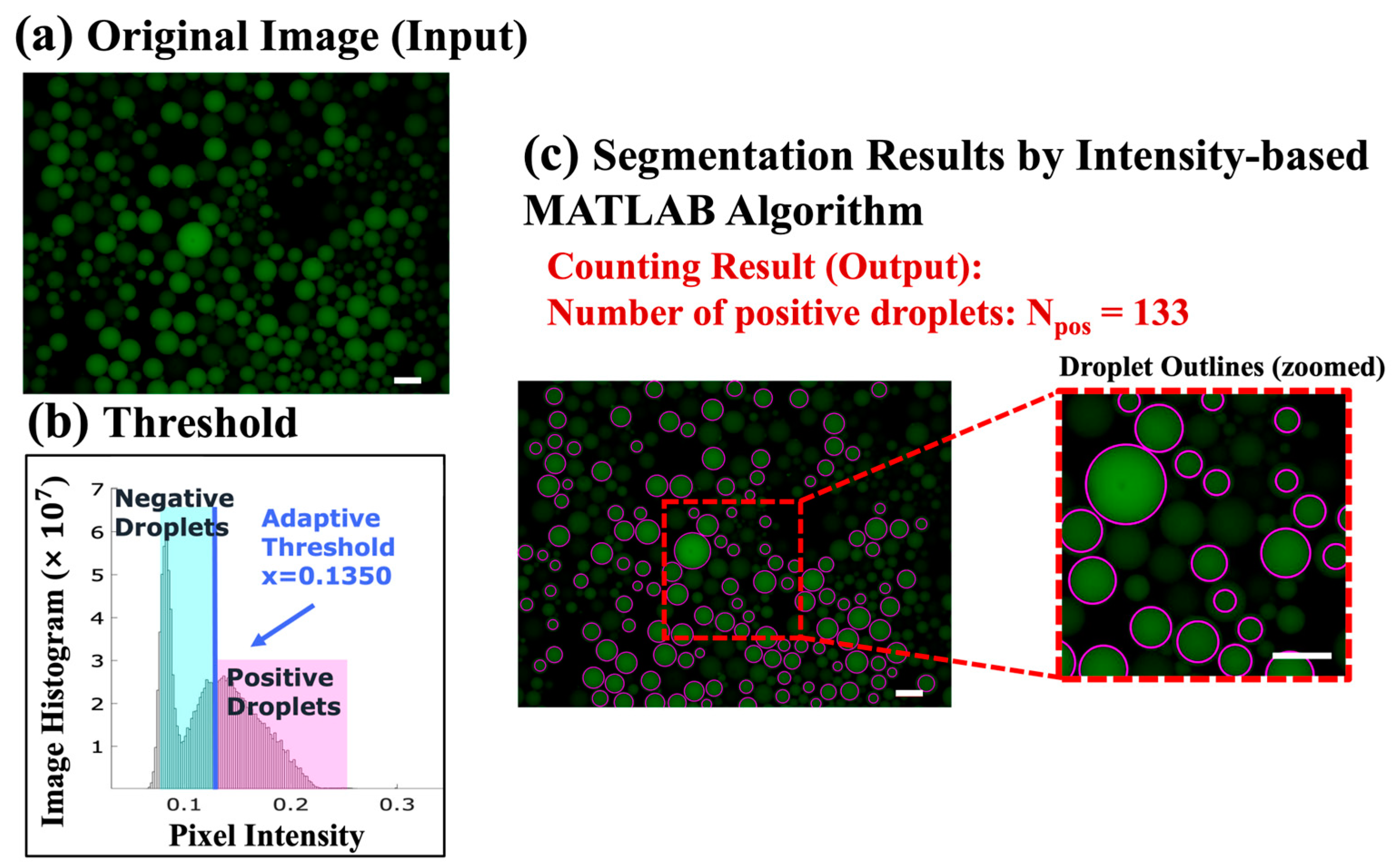 Biosensors 14 00002 g004