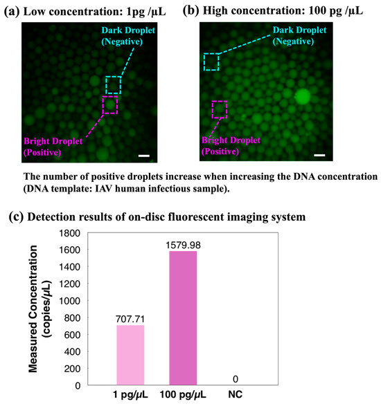 An Integrated ddPCR Lab-on-a-Disc Device for Rapid Screening