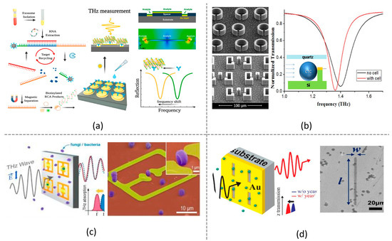 Terahertz Metamaterials for Biosensing Applications: A Review