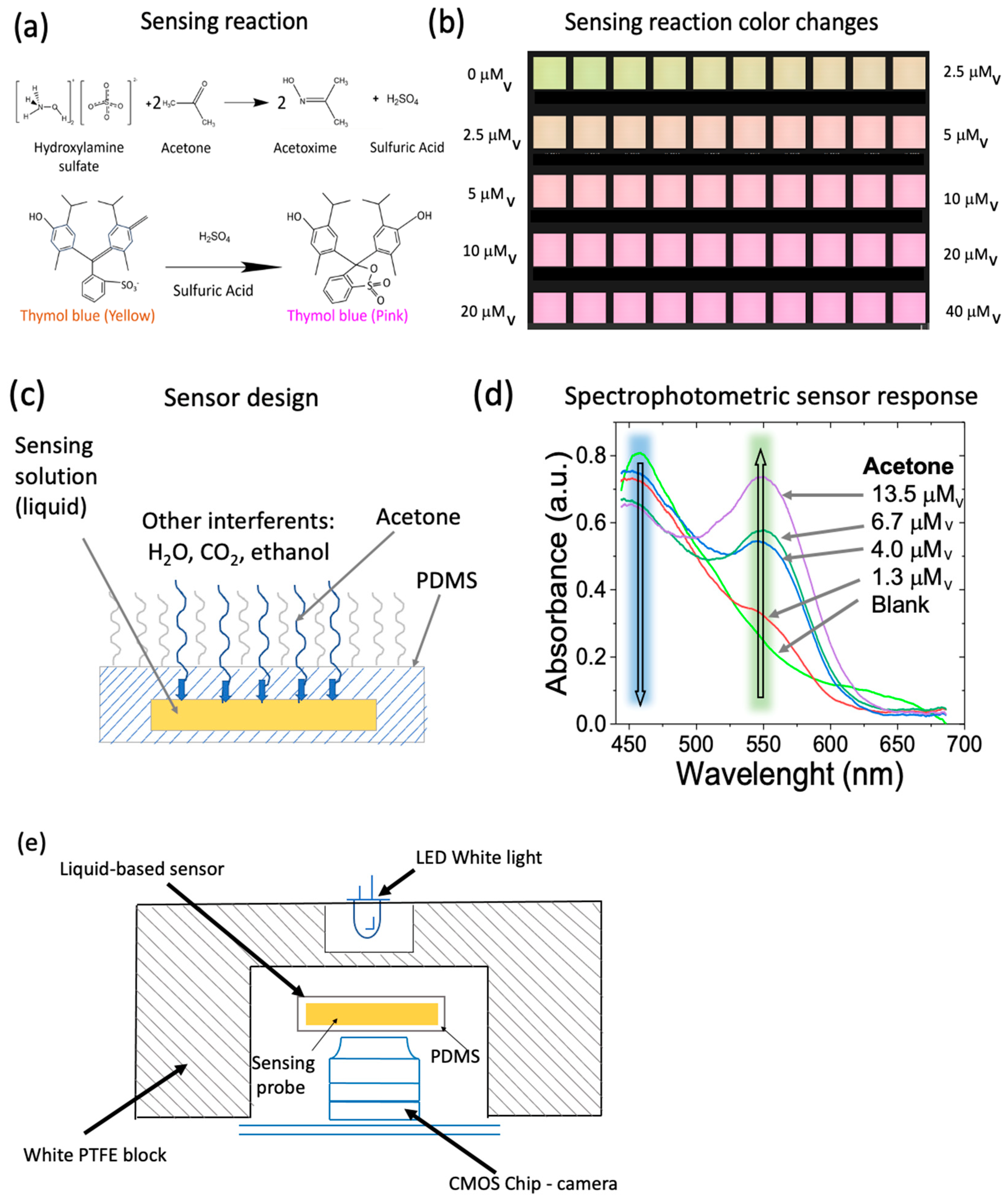 Biosensors 14 00004 g001