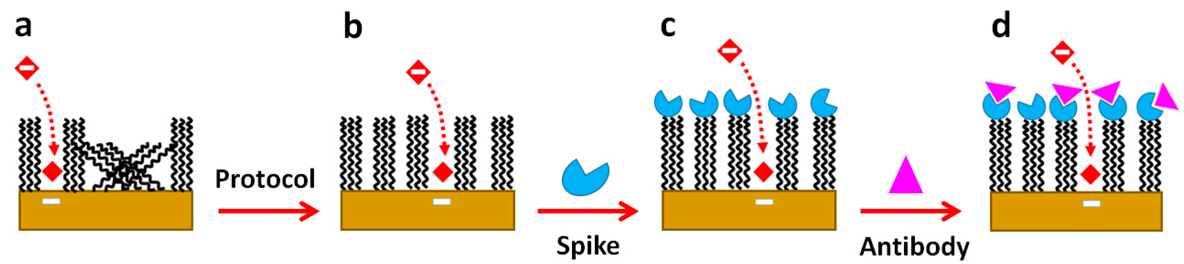 Biosensors 14 00006 sch002
