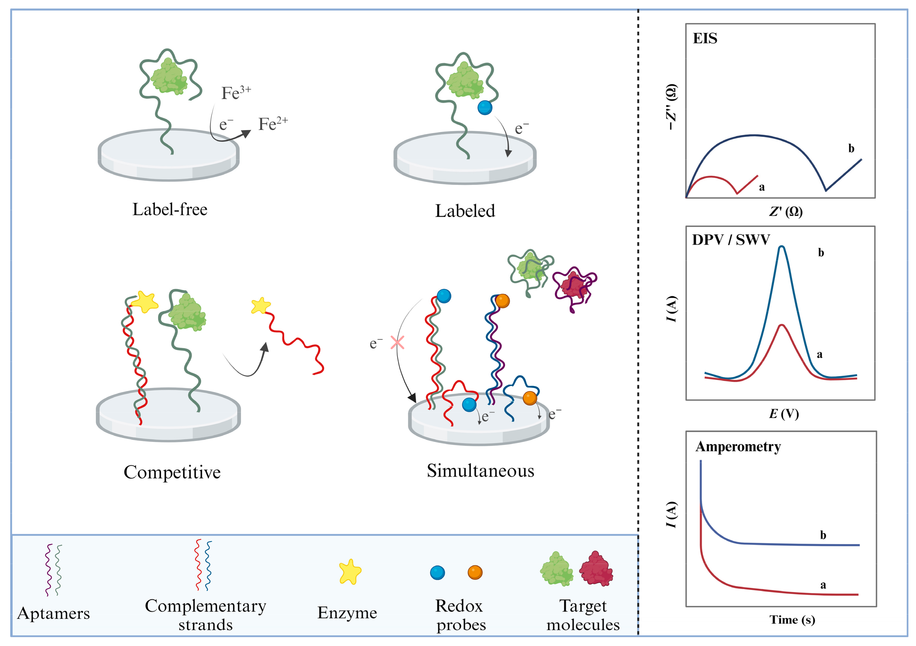 Biosensors 14 00007 g002