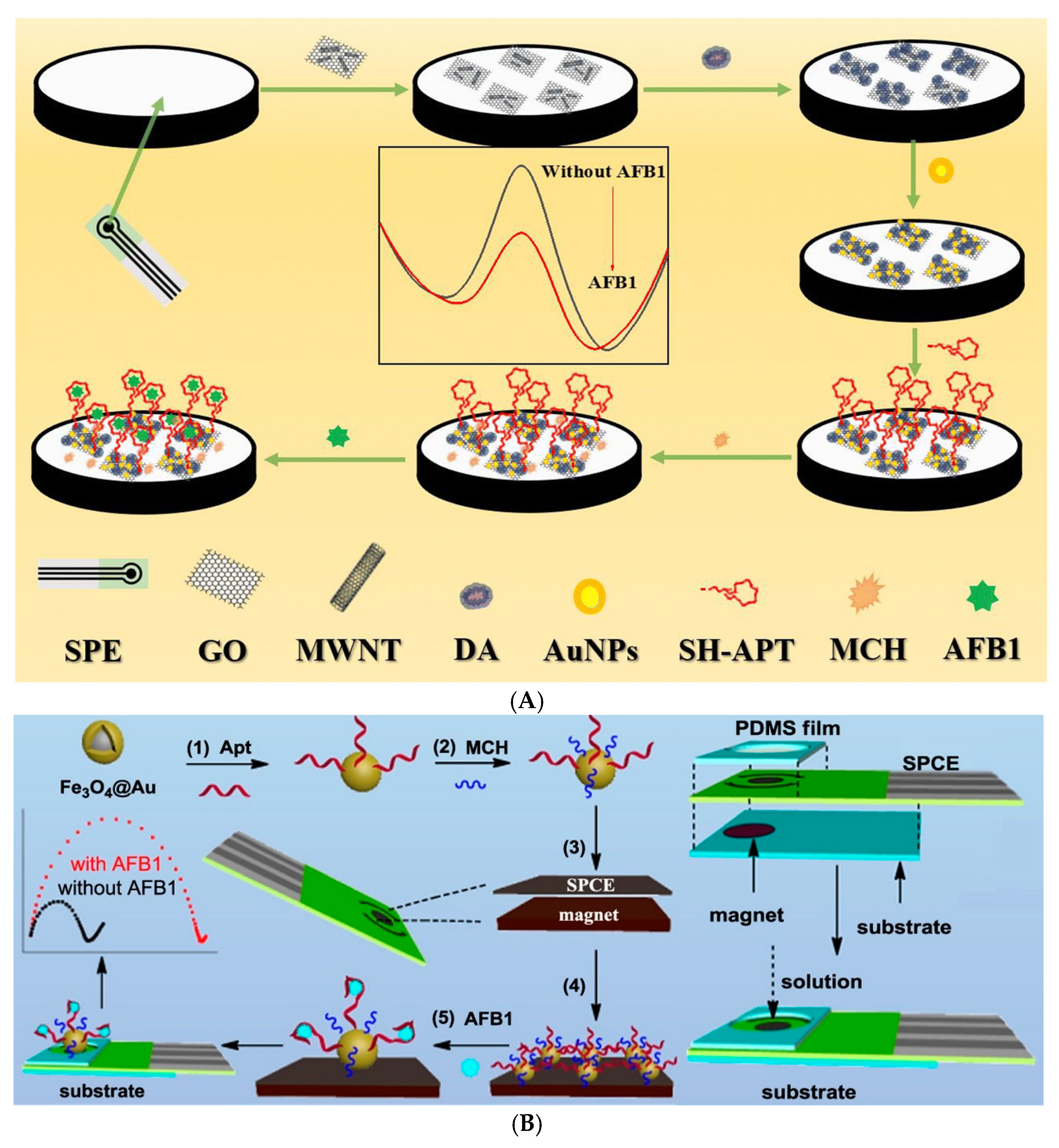Biosensors 14 00007 g003