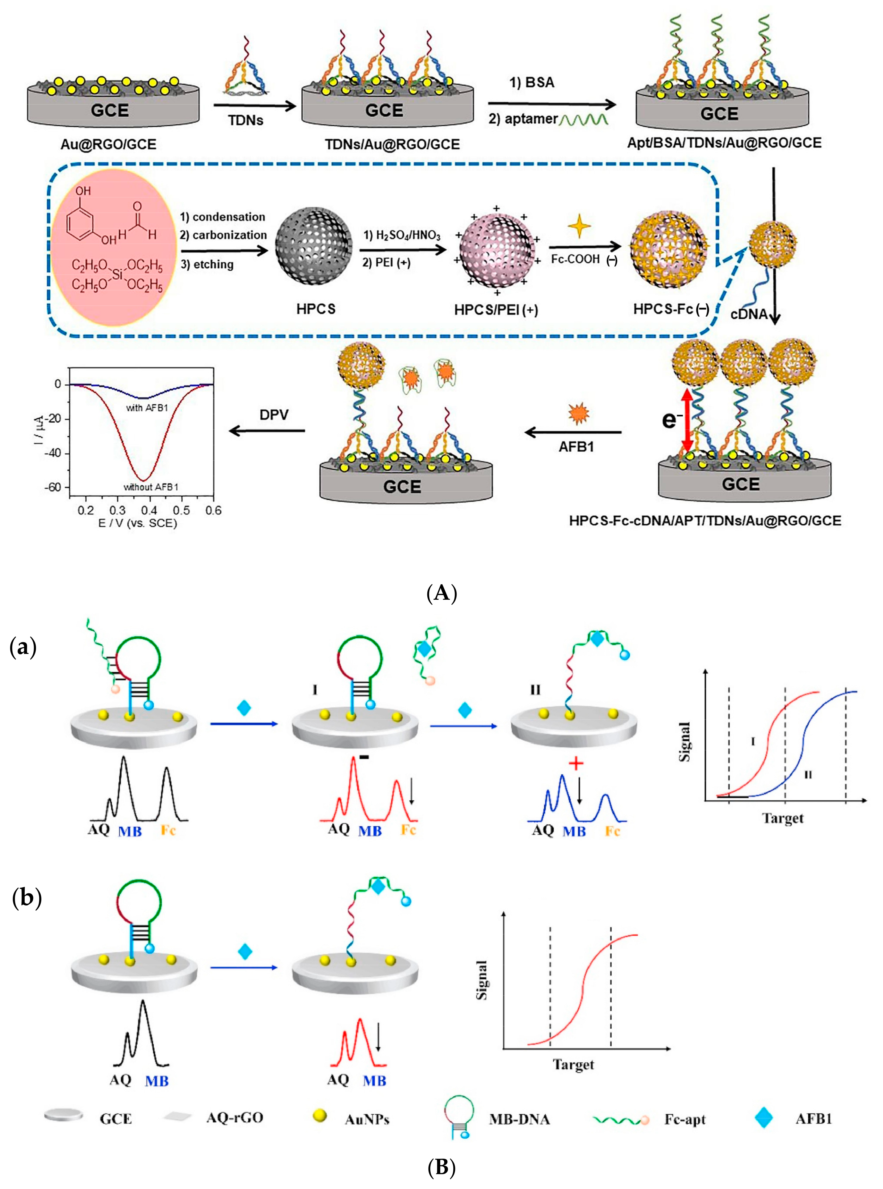 Biosensors 14 00007 g004