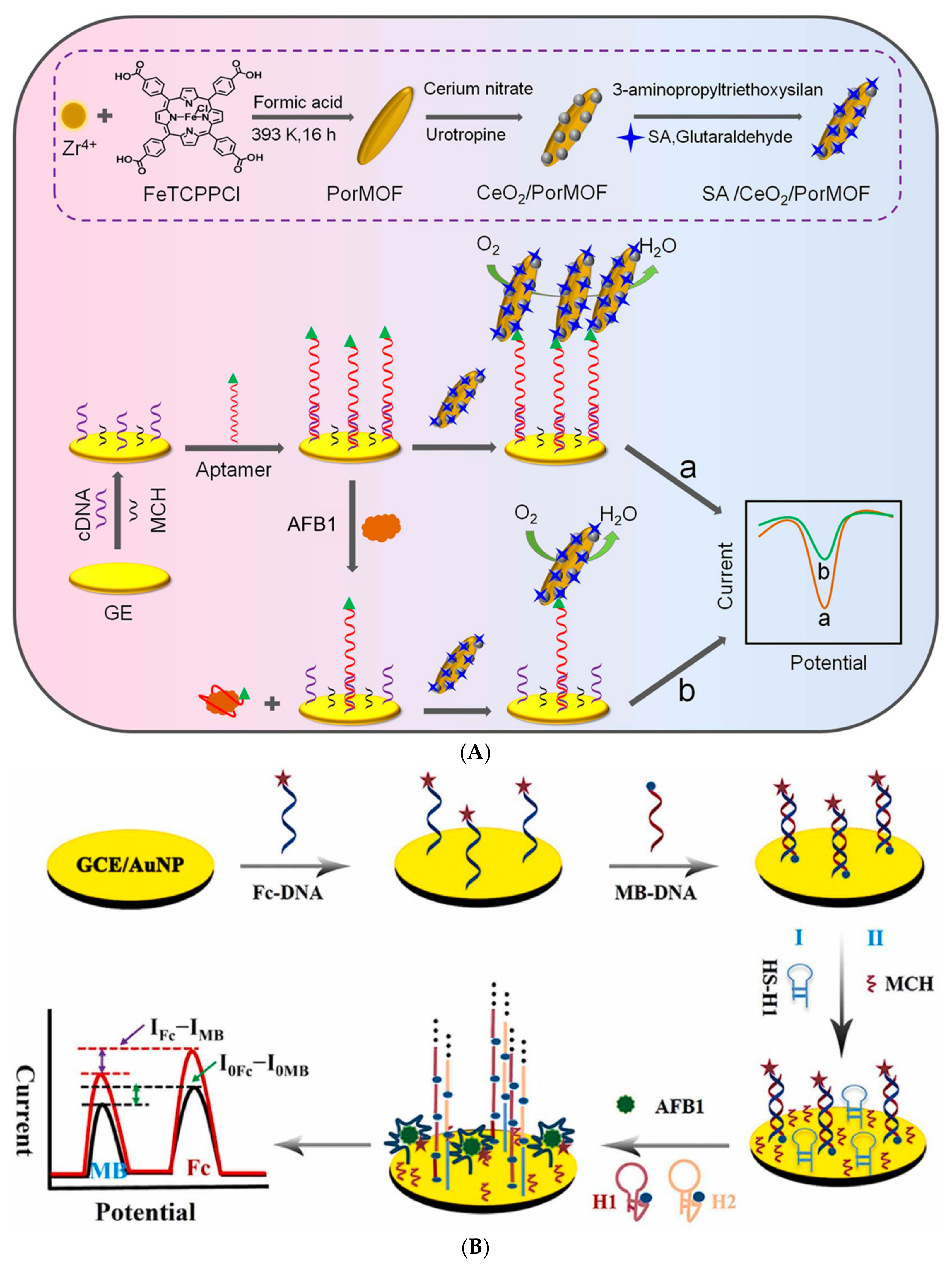 Biosensors 14 00007 g005