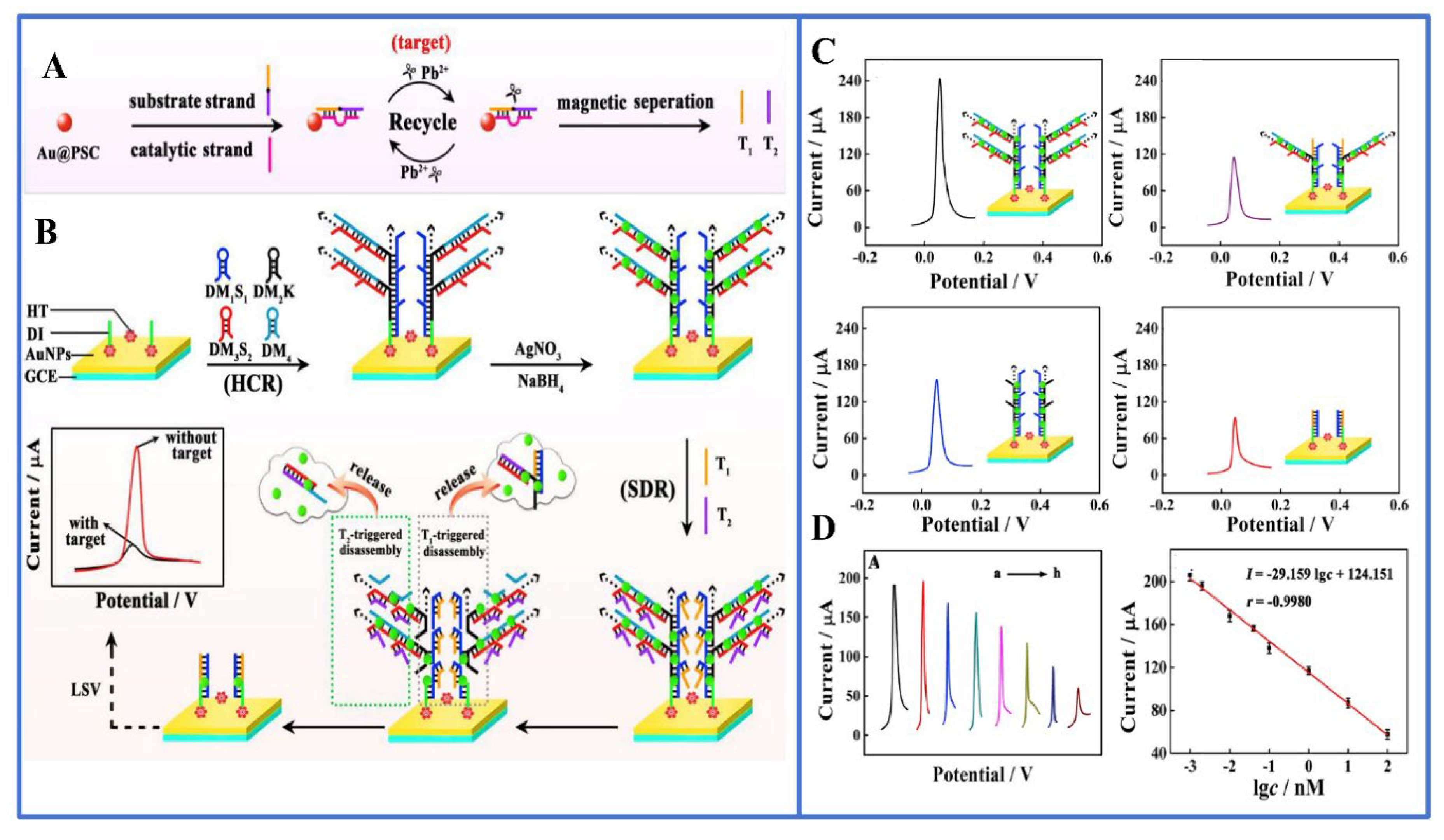 Biosensors 14 00009 g002