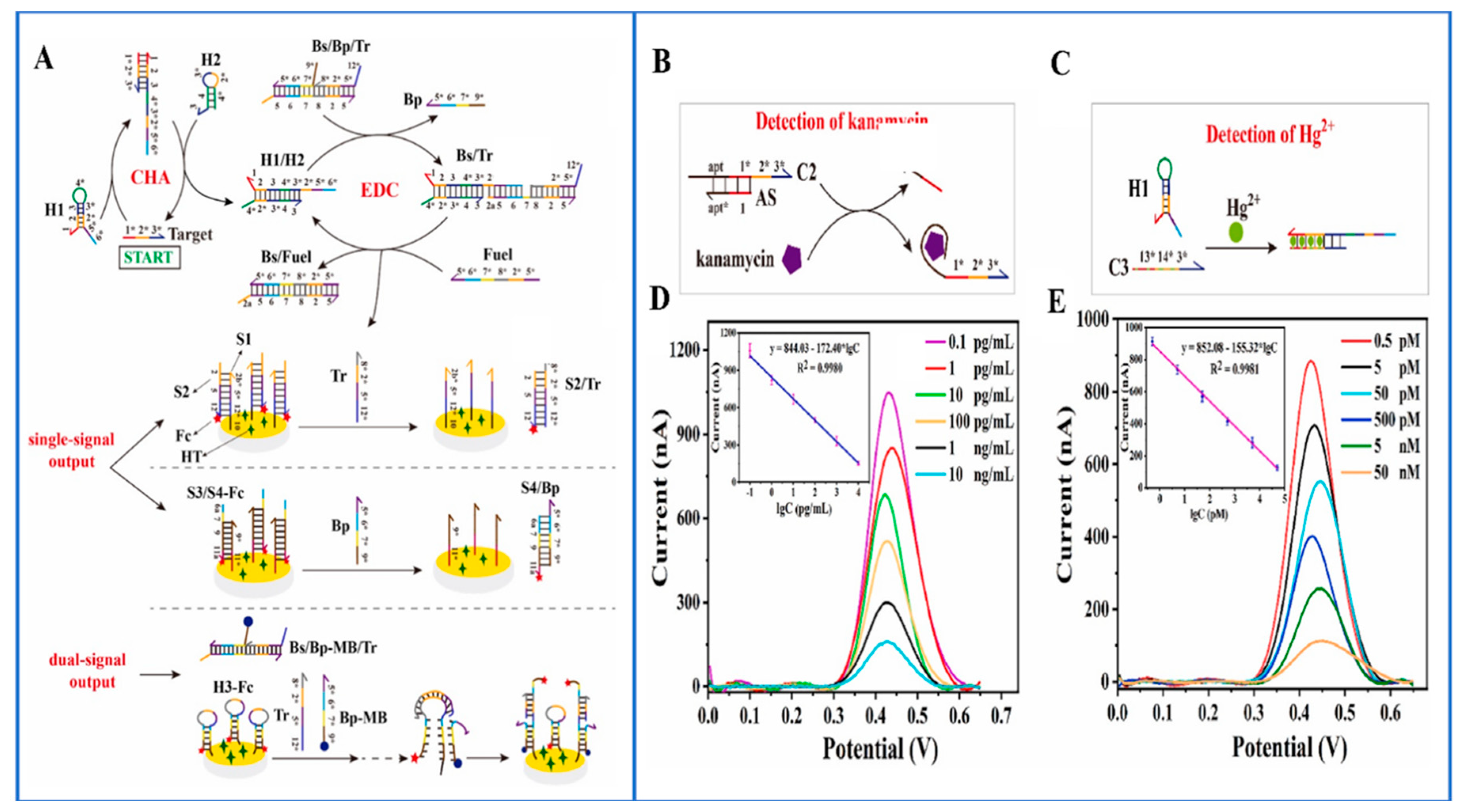 Biosensors 14 00009 g004