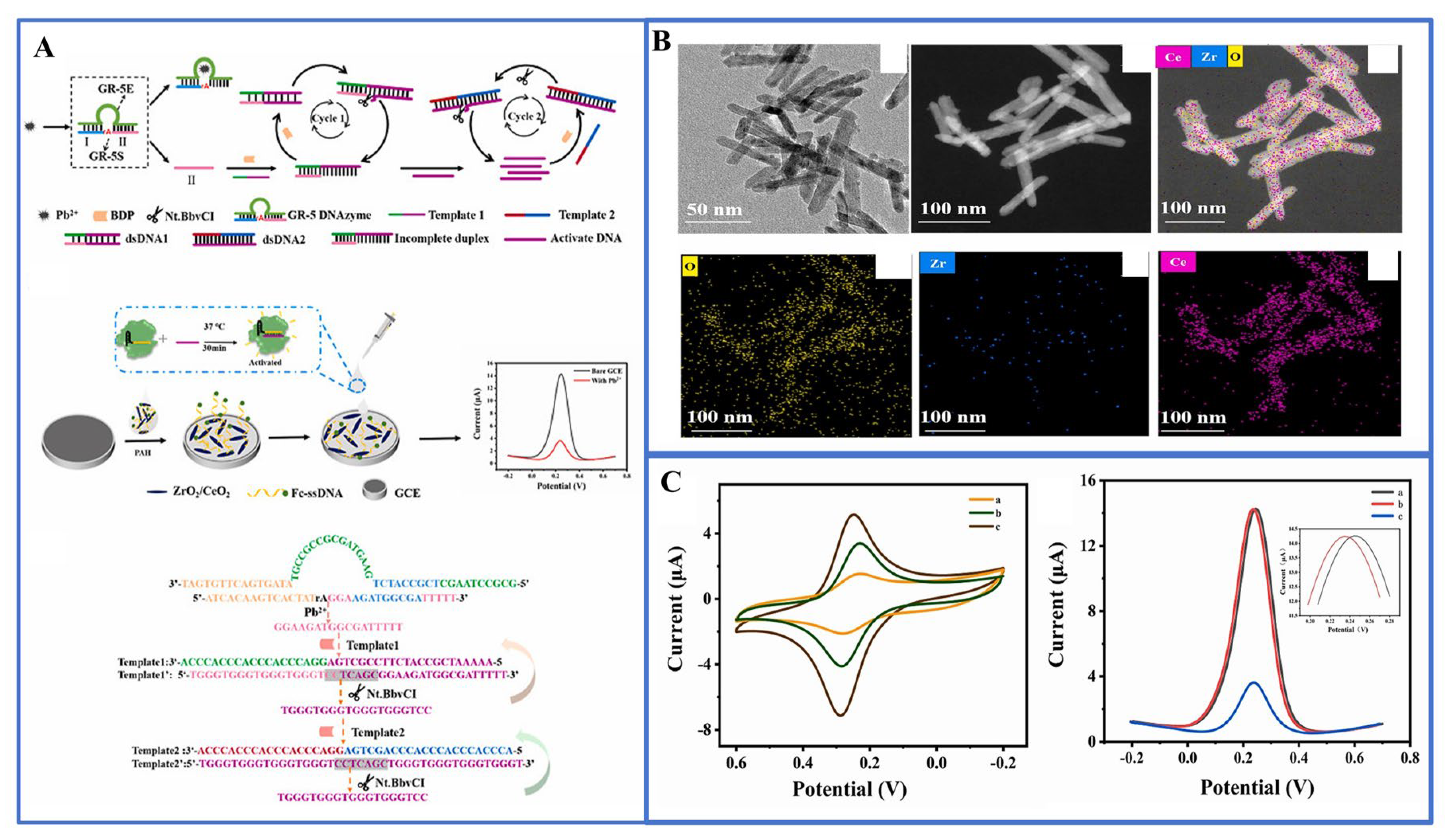Biosensors 14 00009 g005