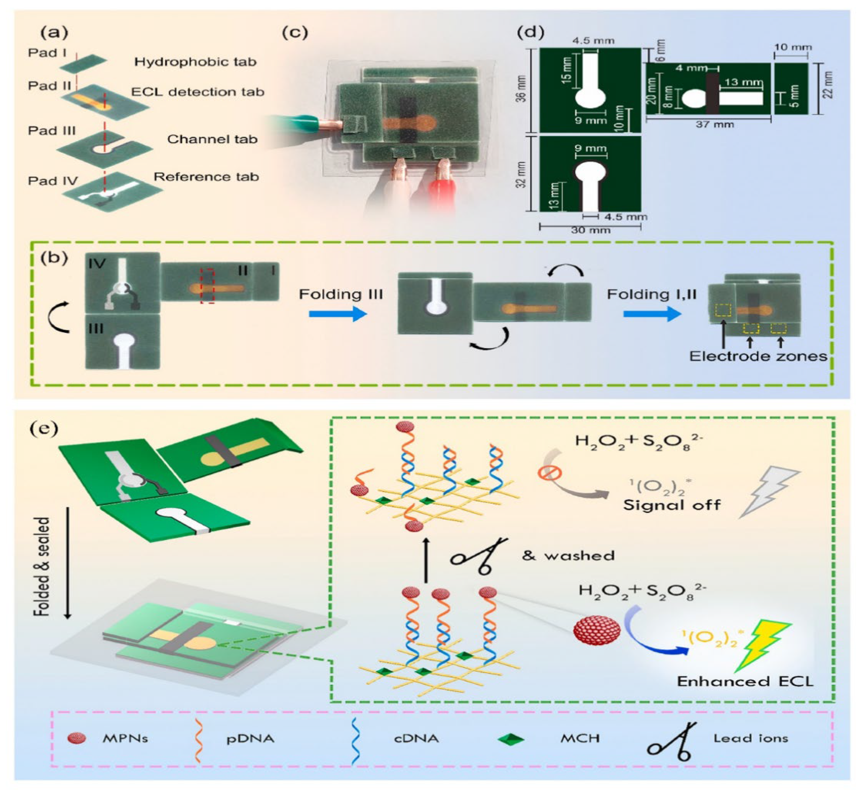 Biosensors 14 00009 g010