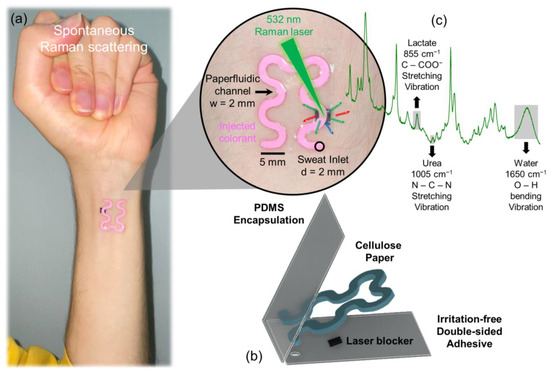 Soft Epidermal Paperfluidics for Sweat Analysis by Ratiometric