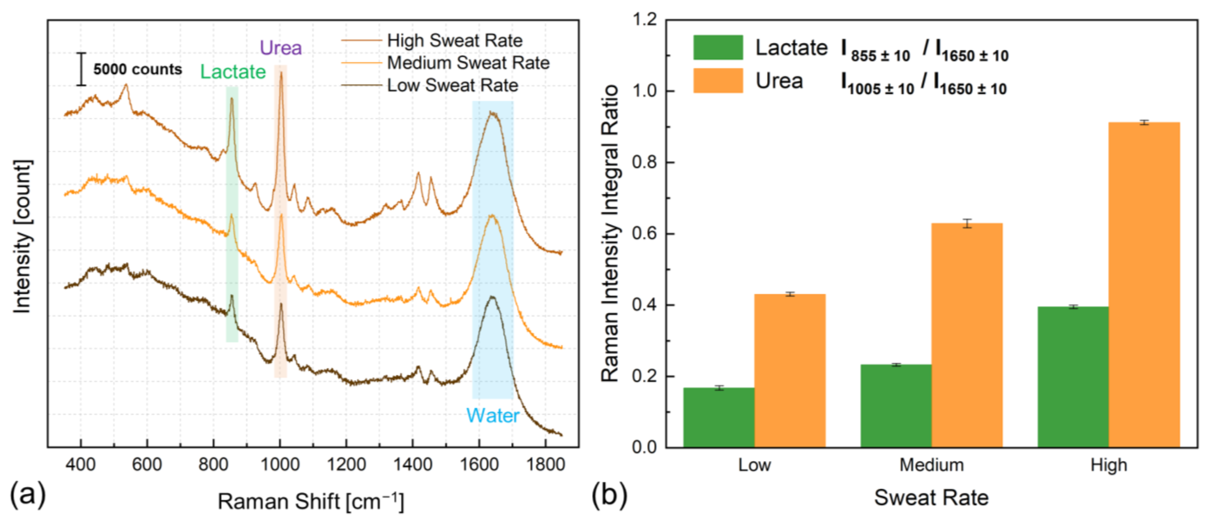 Biosensors 14 00012 g003