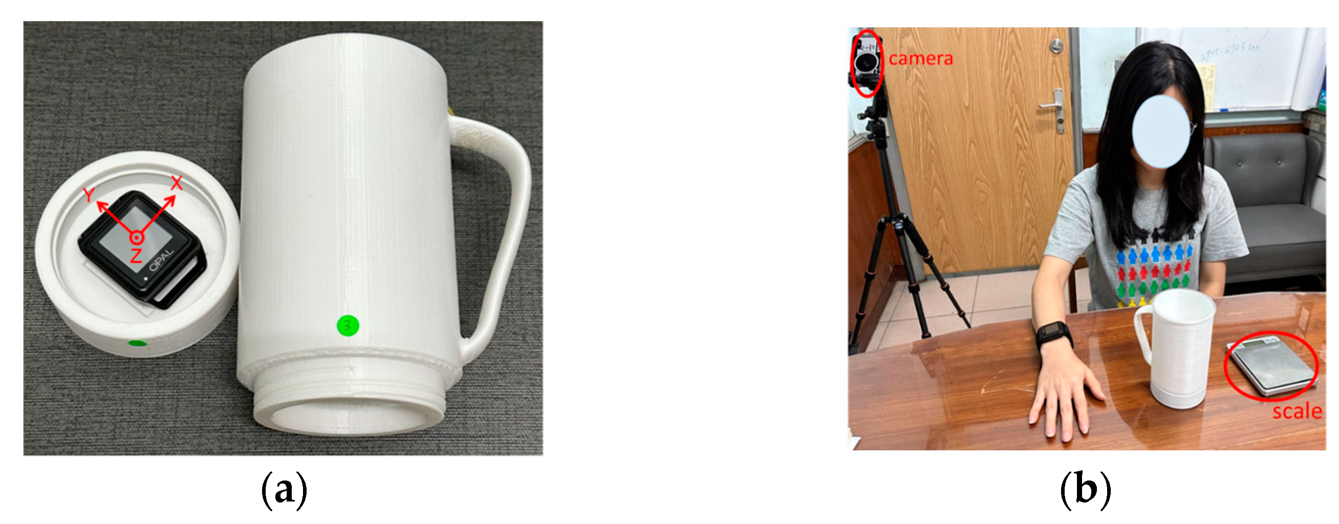 Biosensors 14 00014 g001