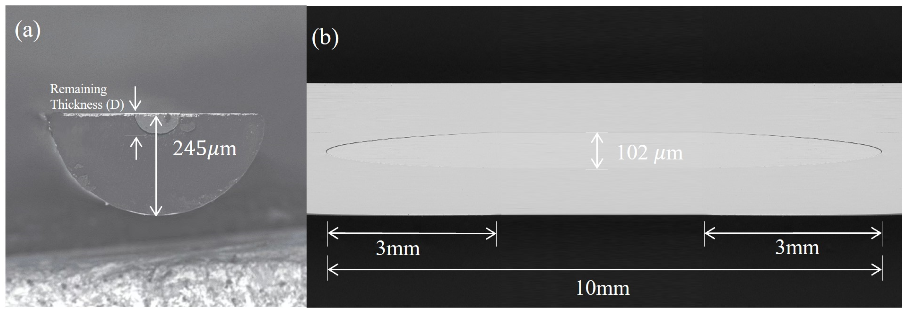 Biosensors 14 00015 g003