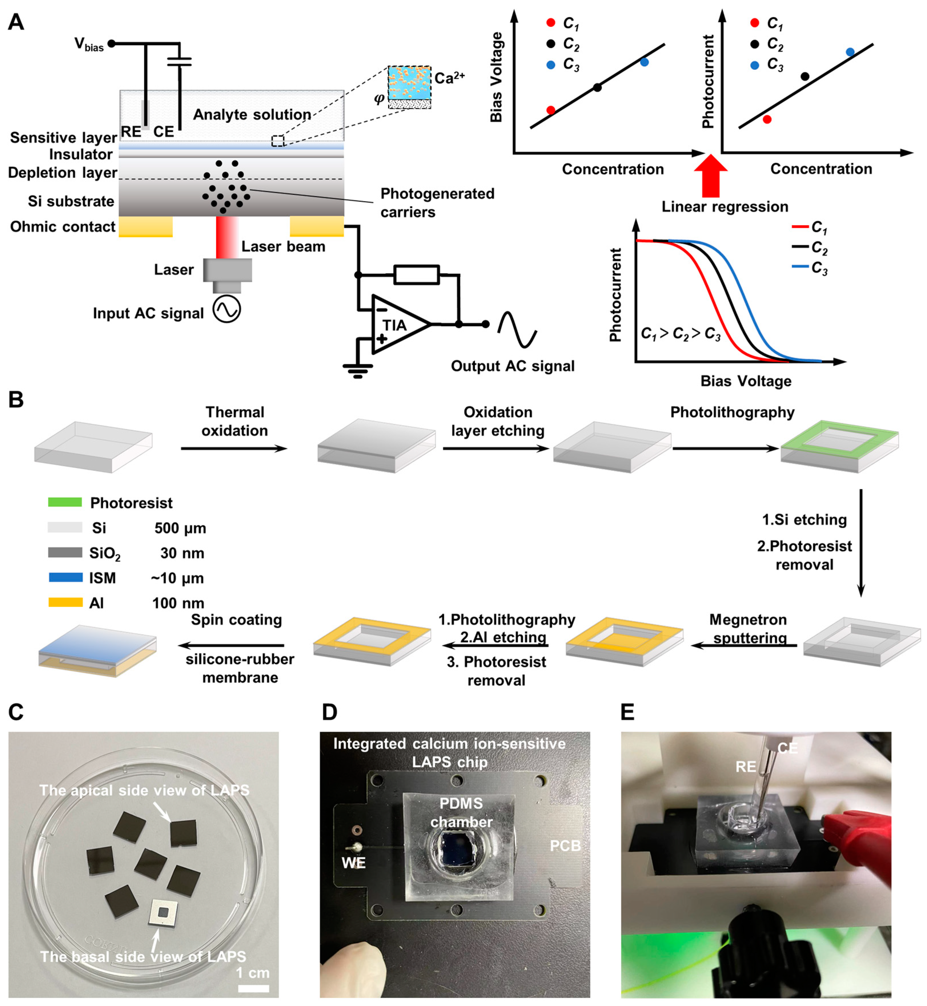 Biosensors 14 00016 g002