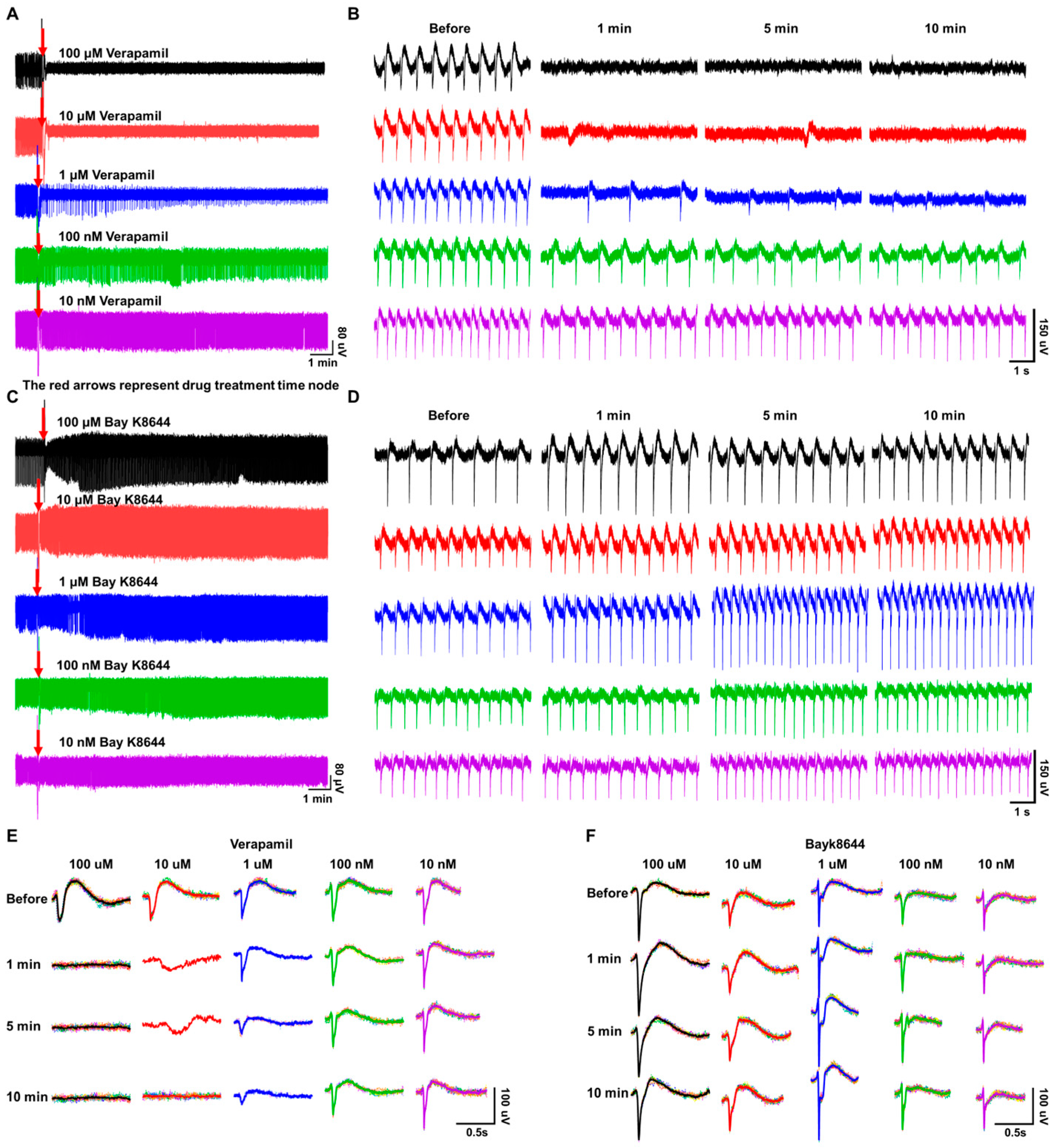 Biosensors 14 00016 g006