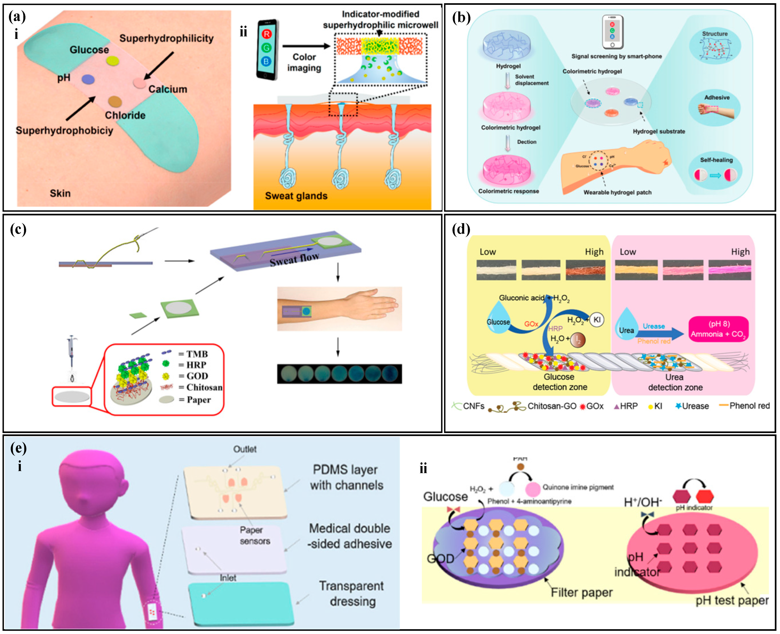 Biosensors 14 00017 g005