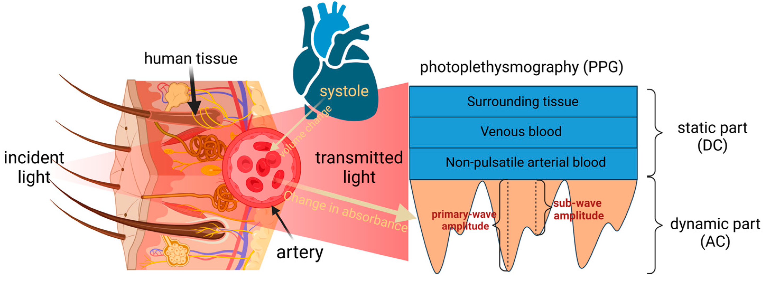 Biosensors 14 00022 g001