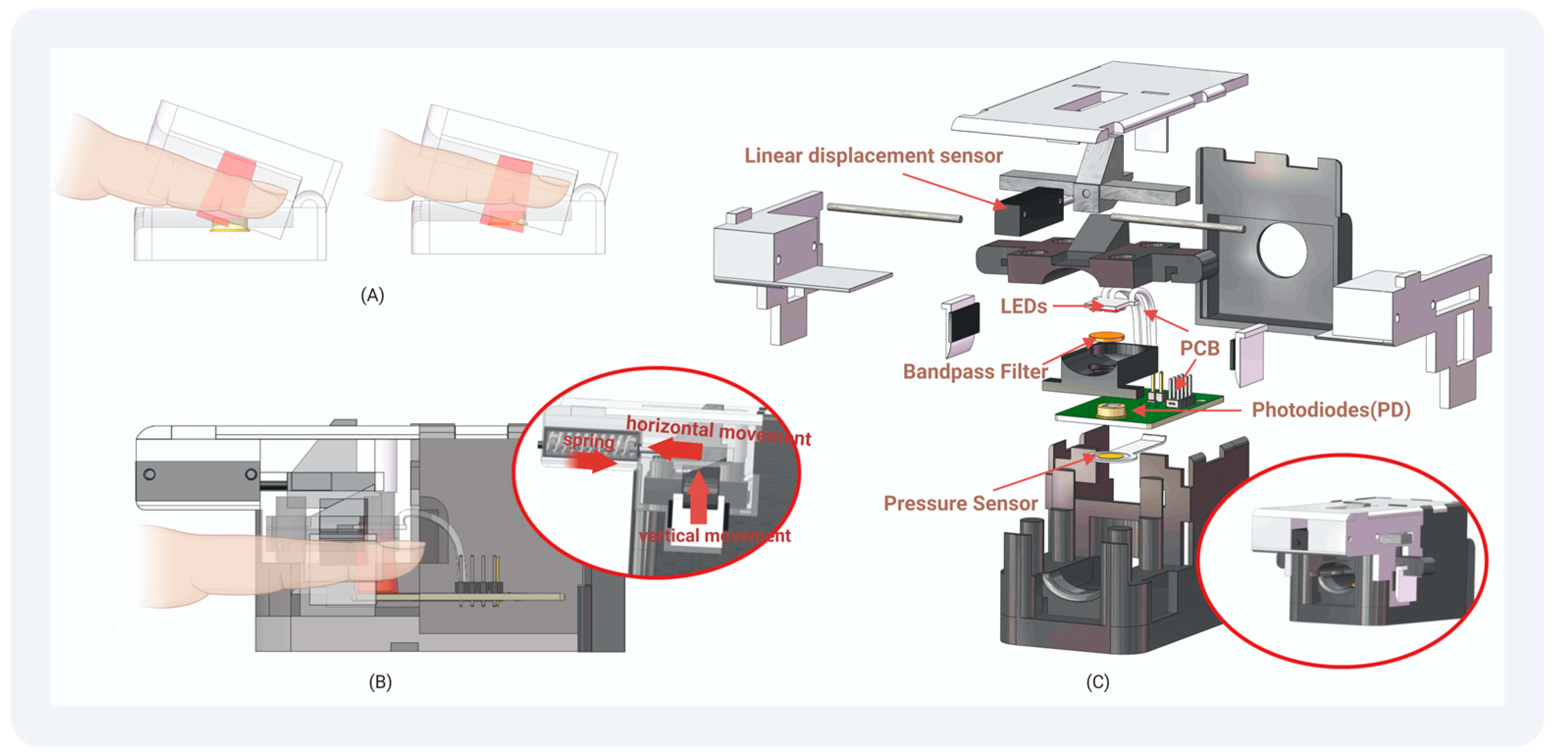 Biosensors 14 00022 g004